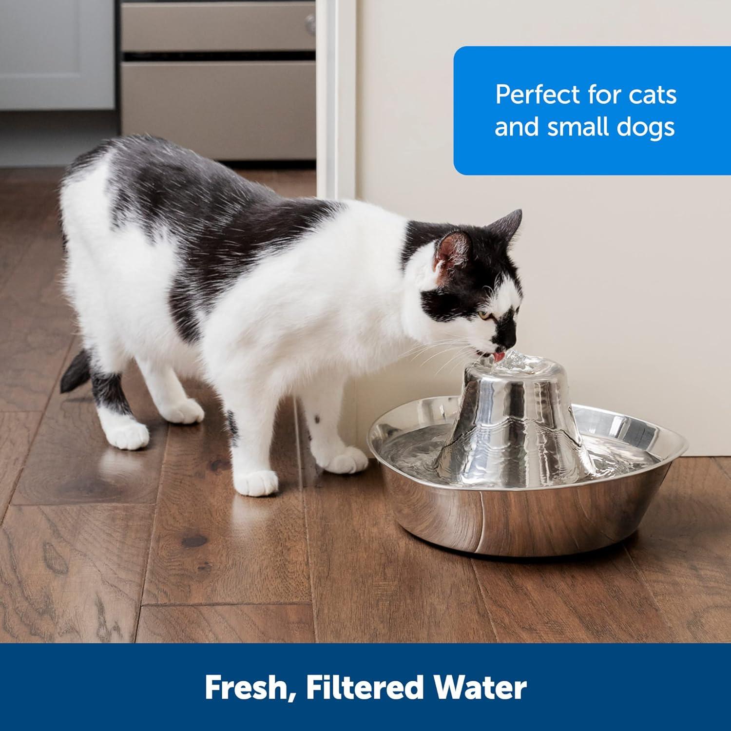 PetSafe Seaside Stainless Pet Fountain, Automatic Dog and Cat Water Bowl, 60 oz