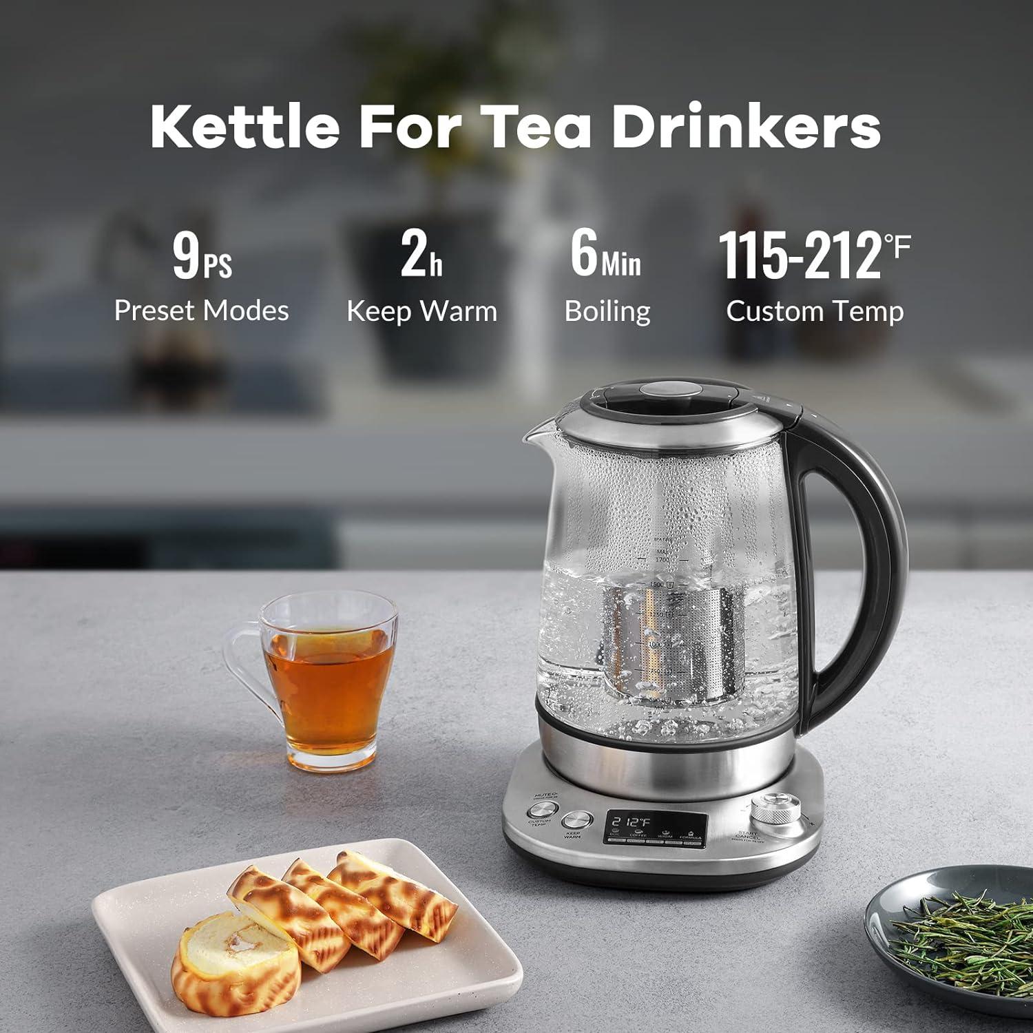 Stainless Steel Borosilicate Glass Electric Tea Kettle with Infuser