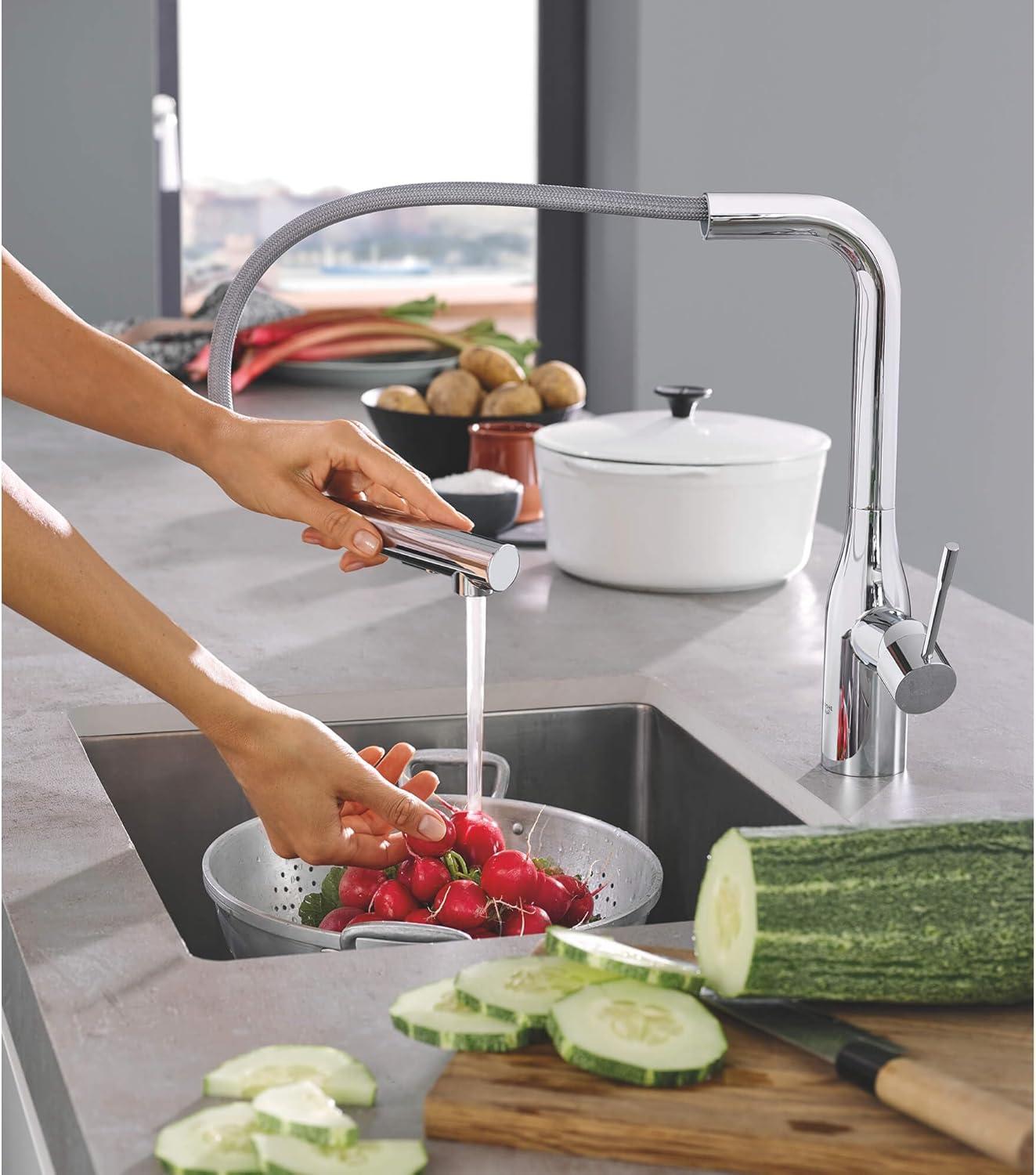 Essence Pull Out Single Handle Kitchen Faucet with Accessories