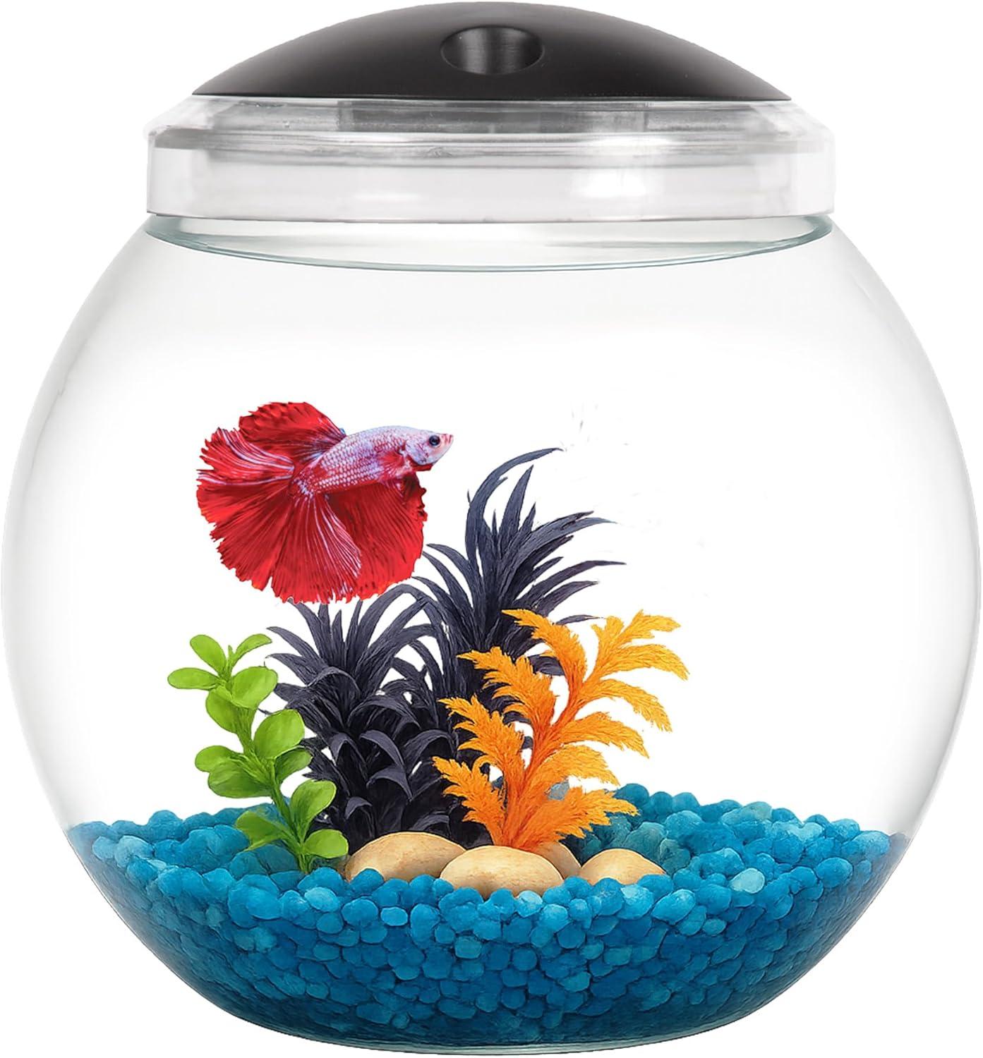 Koller Products 1-Gallon Globe Fish Bowl, Impact- Resistant Plastic Aquarium Starter Kits with LED Lighting, Buit-in Timer, Crystal-Clear Clarity, Desktop Fish Tank for Home Décor