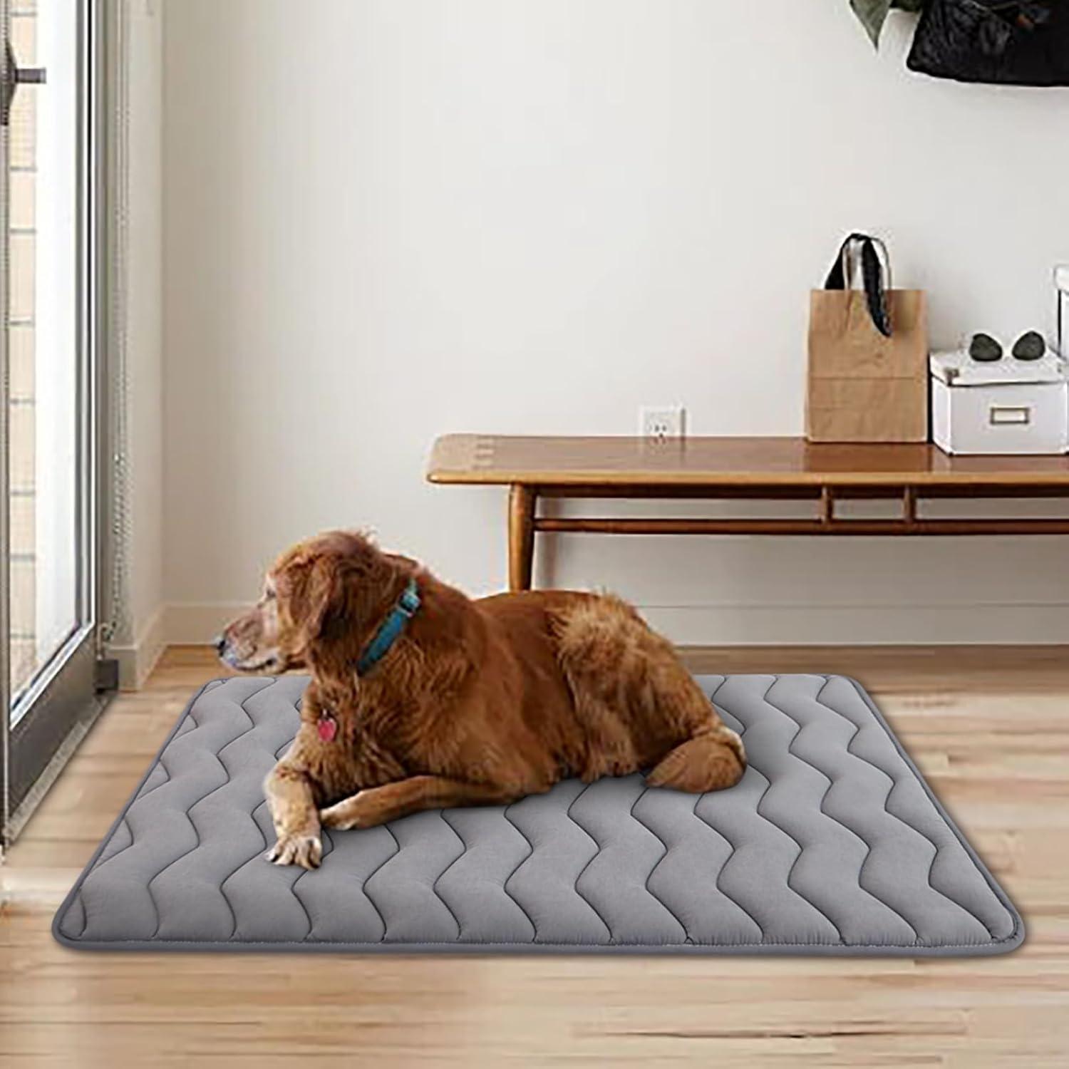 Paw Inspired Washable Padded 42" Crate Mats for Dogs | 41" x 28" Size, Fits 42-inch Kennels | Anti-Slip, Leakproof, Waterproof, Reusable Plush Pet Pads (Gray)