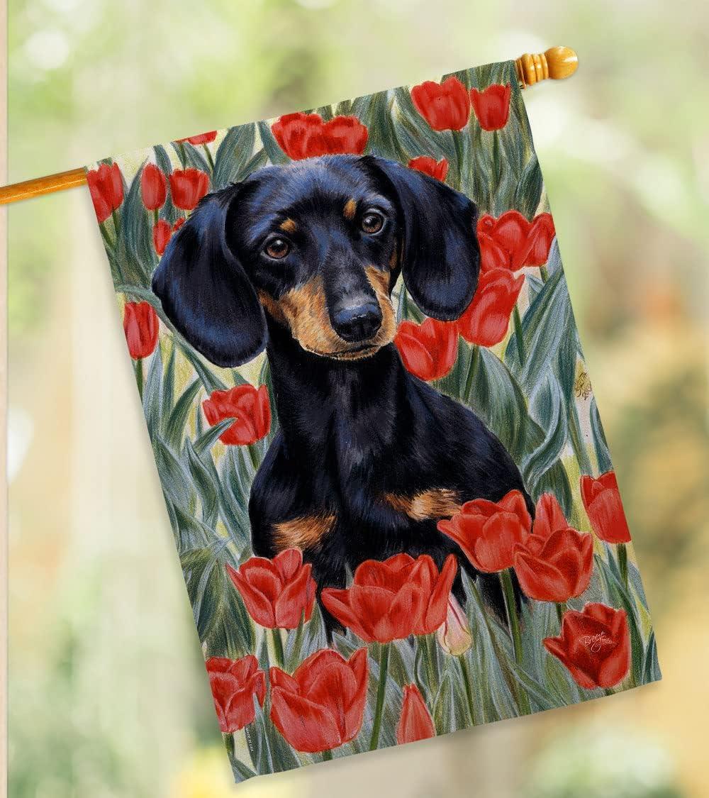 Breeze Decor Double Sided 40.00'' H x 28.00'' W Polyester Flag Set