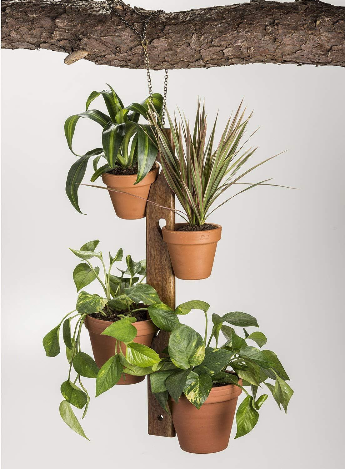 Kalmar Home Solid Acacia wood 4 Pot Hanging Plant Holder with chain