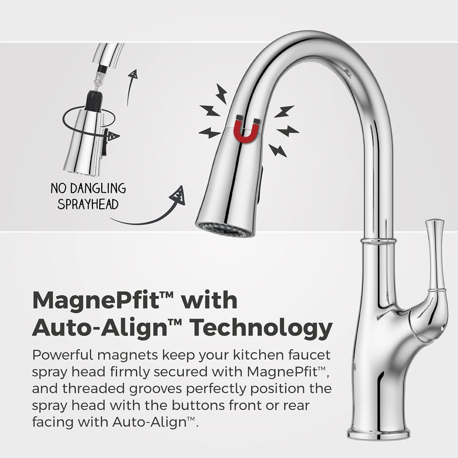 Alderwood Polished Chrome High-Arc Kitchen Faucet with Pull-out Spray