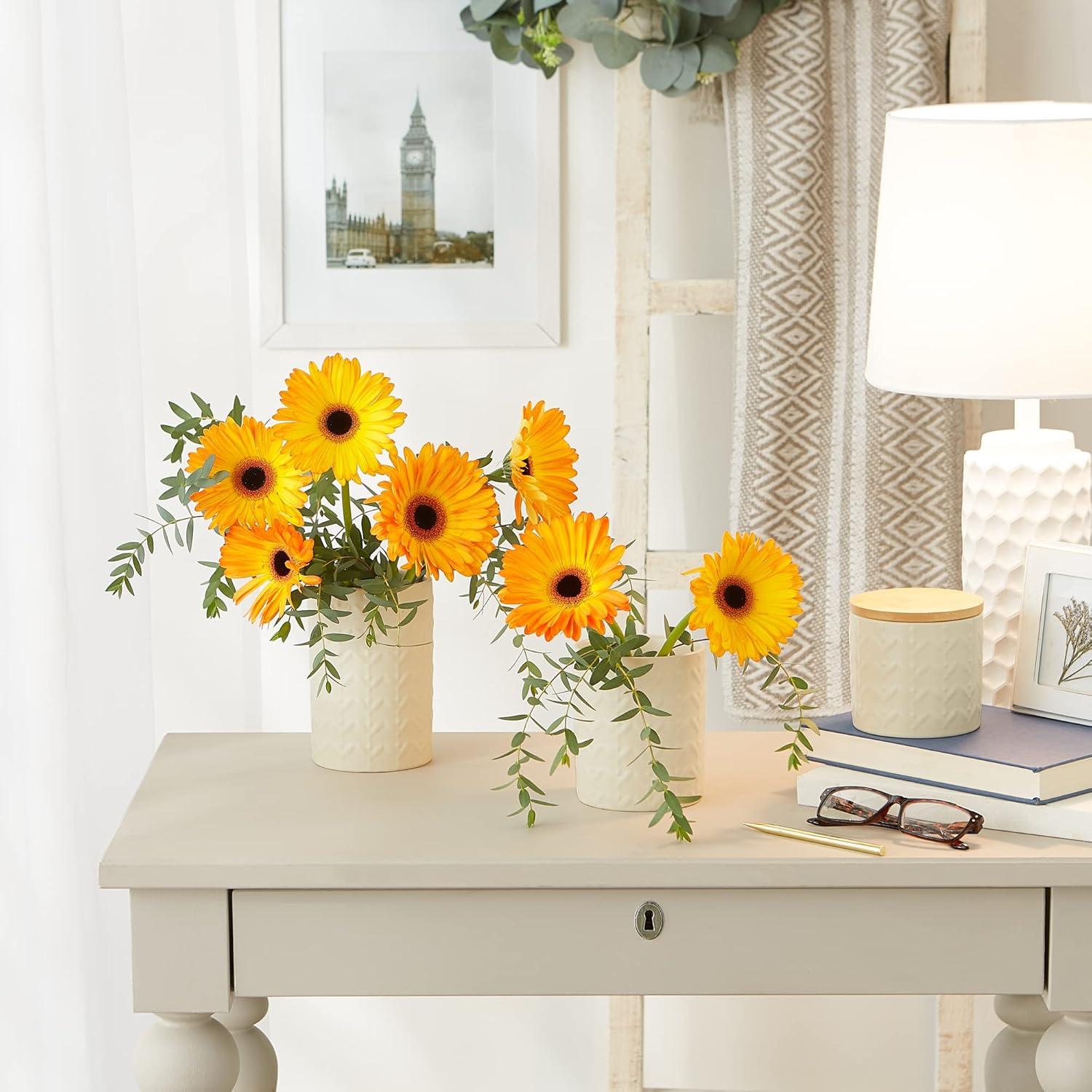 Design Imports Antique White Matte Retro Vine Texture Ceramic Canister Set/3