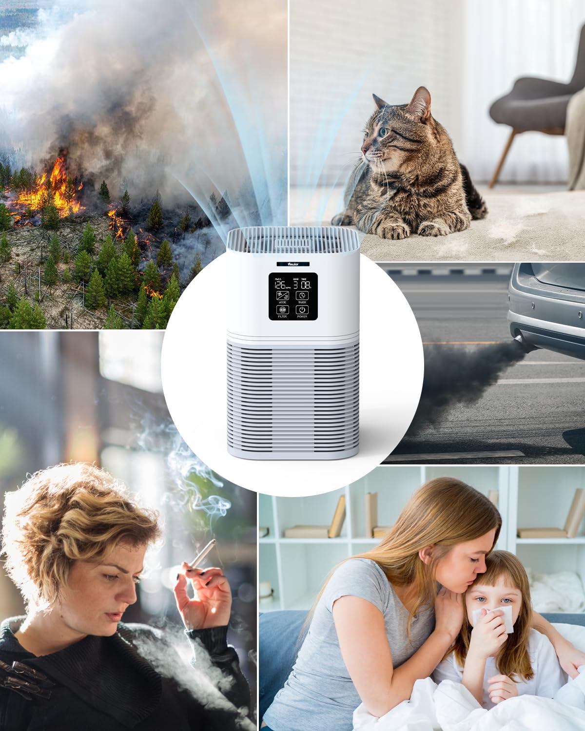 Air Purifiers For Home, HEPA Air Purifiers For Large Room Up To 600 Sq.Ft, H13 True HEPA Air Filter With Fragrance Sponge 6 Timers Quiet Air Cleaner For Pet Dander Wildfire