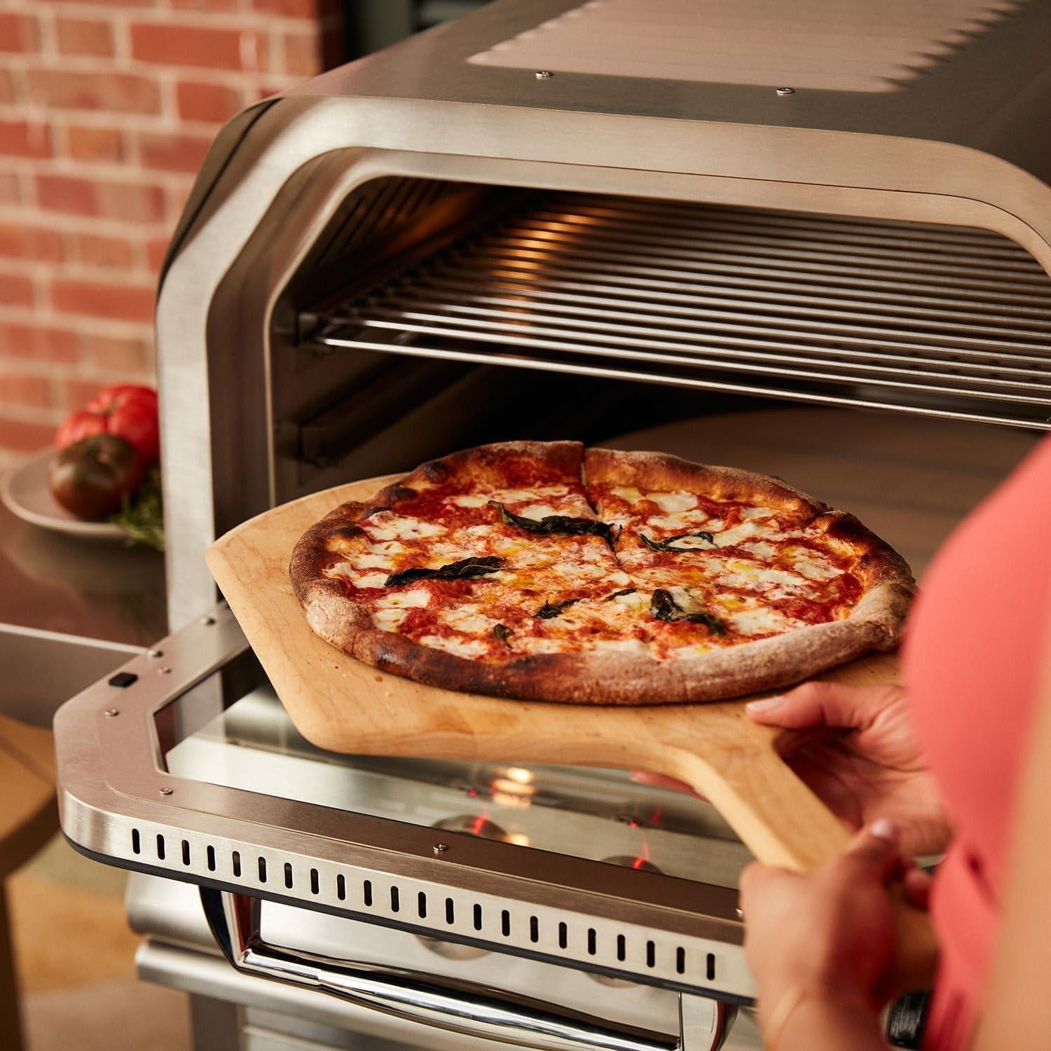 Blaze Grills Stainless Steel Built-In Natural Gas Pizza Oven
