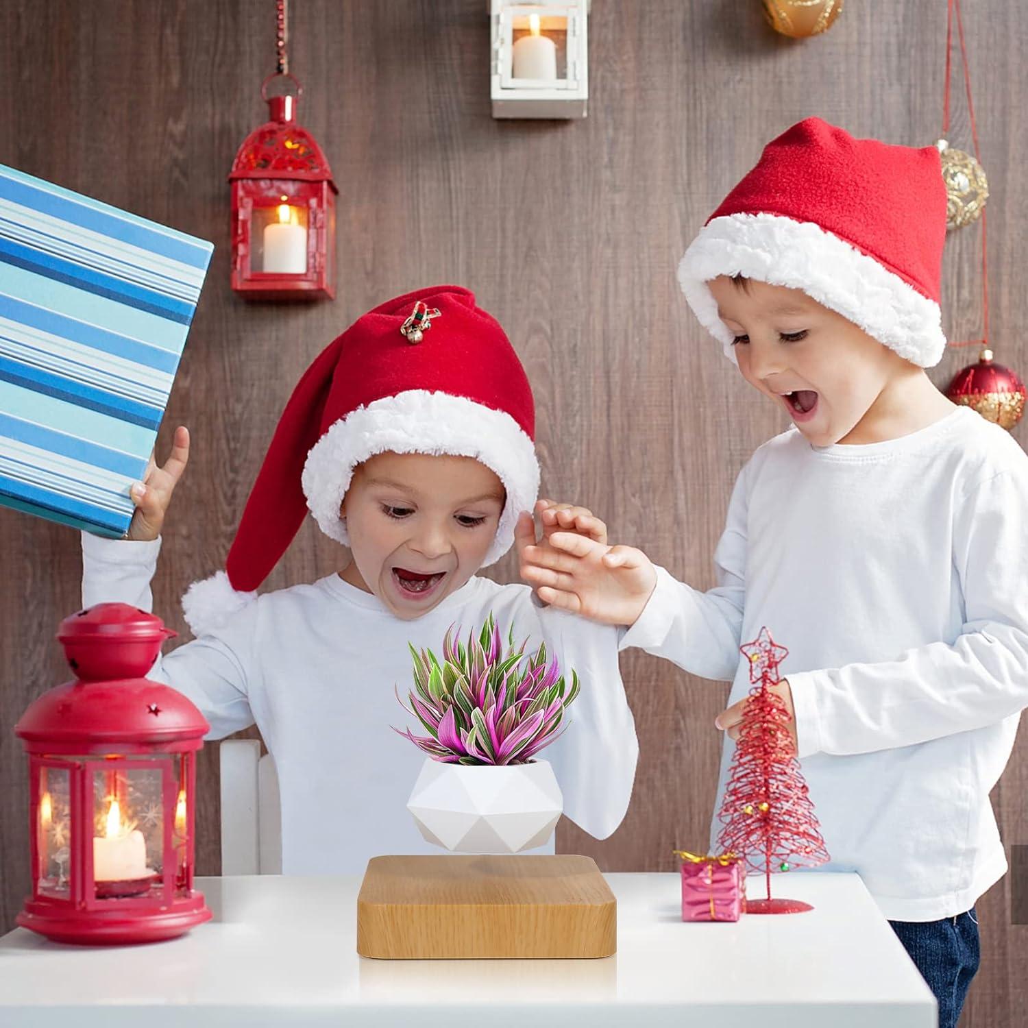 Levitating Air Bonsai Pot, Rotation Flower Pot Planters, Magnetic Levitation Suspension Floating Pot, Potted Plant Home Desk Decor in Flower Pots & Planters from Home & Garden on (Light Color) C49