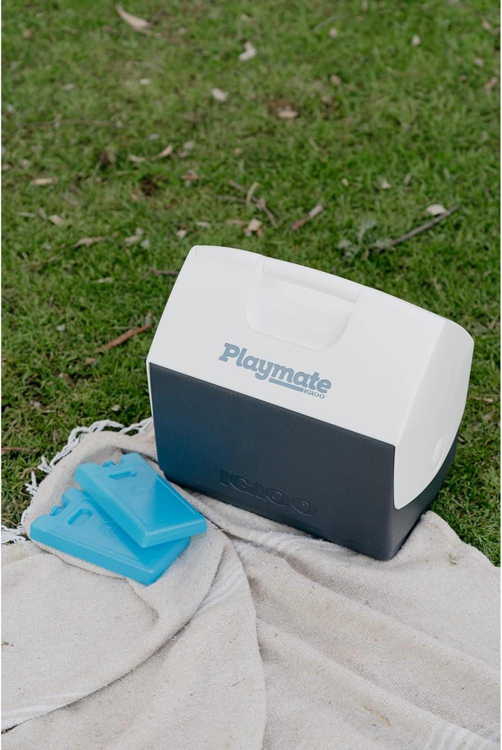 Igloo 25199 Maxcold Ice Block, Medium - Quantity 12