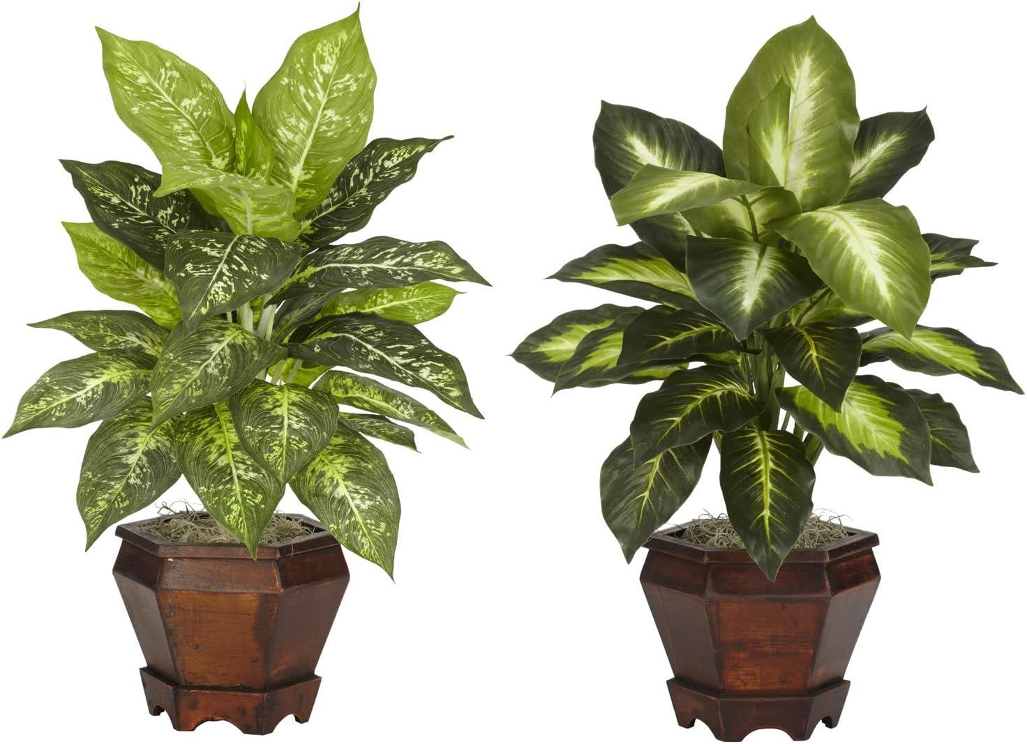 Nearly Natural Dieffenbachia with Wood Vase Silk Plant (Set of 2), Assorted