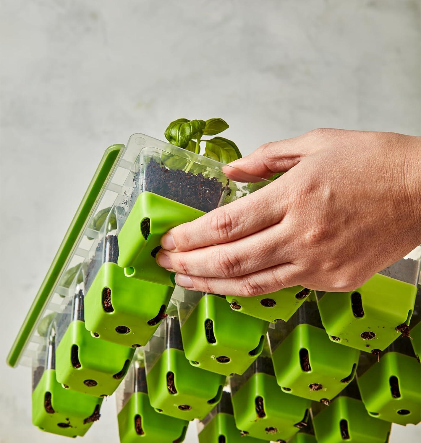 Burpee SuperSeed 16 XL Cell Seed Starting Tray - Reusable and Dishwasher Safe - Growing Tray for Seedlings and Plant Germination