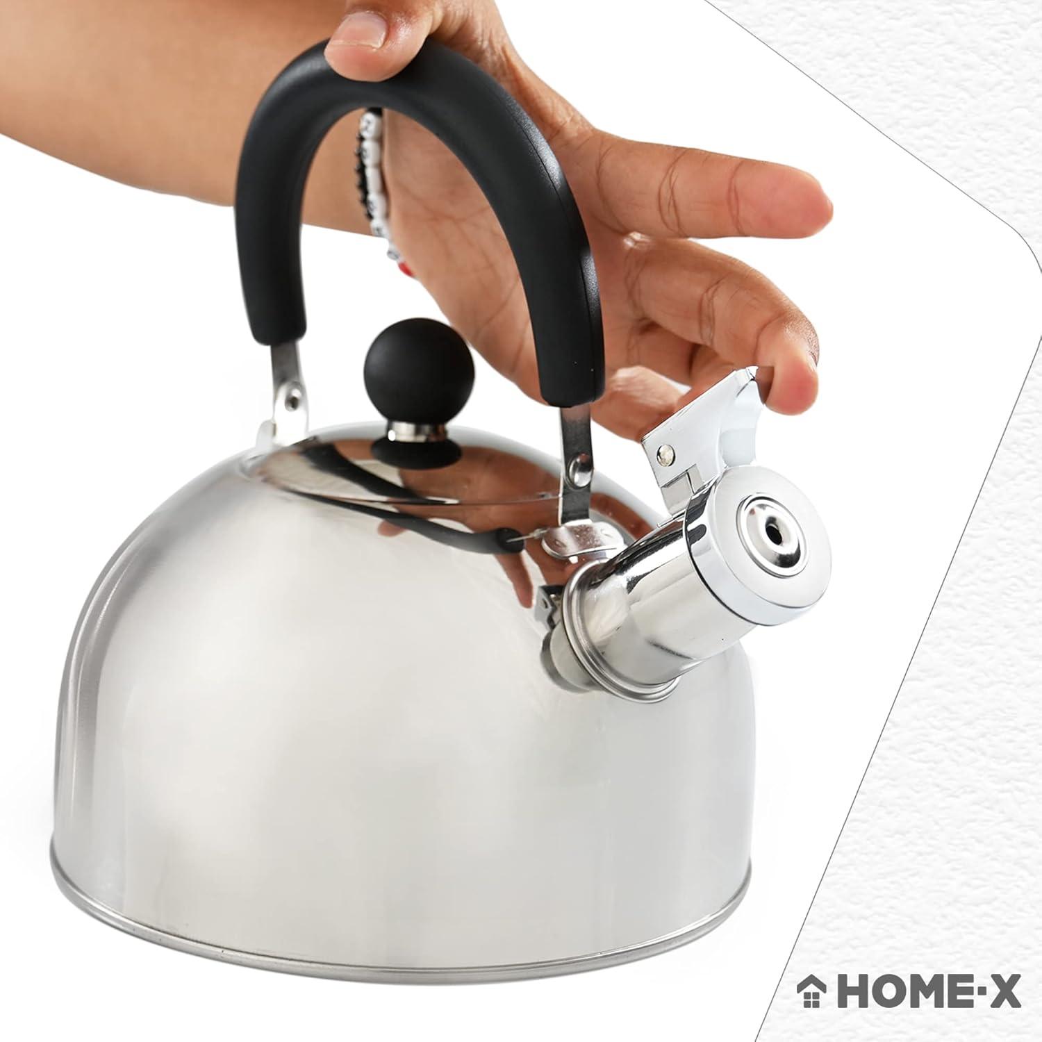 Stainless Steel Whistling Tea Kettle with Bakelite Handle