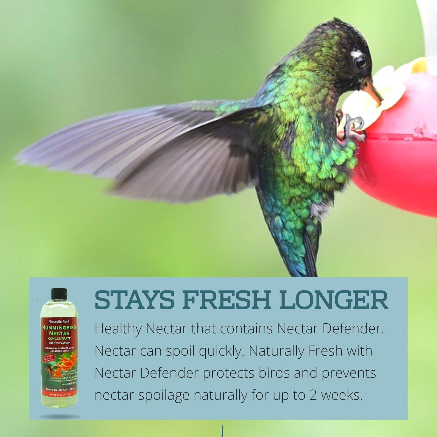 Naturally Fresh Hummingbird Nectar Liquid Concentrate  with Nectar Defender - Lasts Longer In Hummingbird Feeders - Makes 64 ounces of Clear Nectar