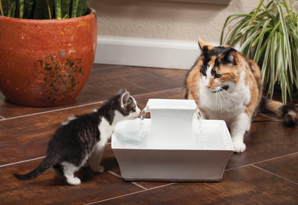 White Ceramic Elevated Pet Water Fountain with Dual Streams