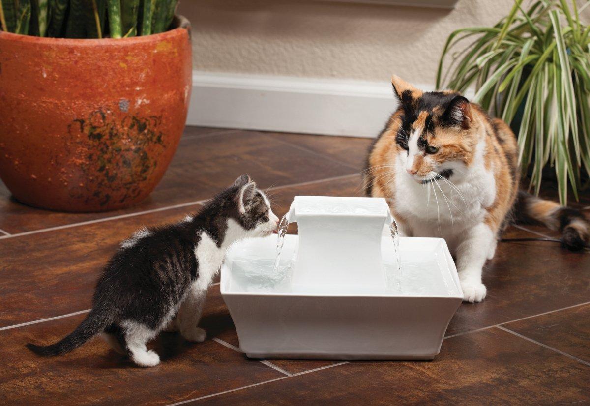 PetSafe® Pagoda Pet Fountain