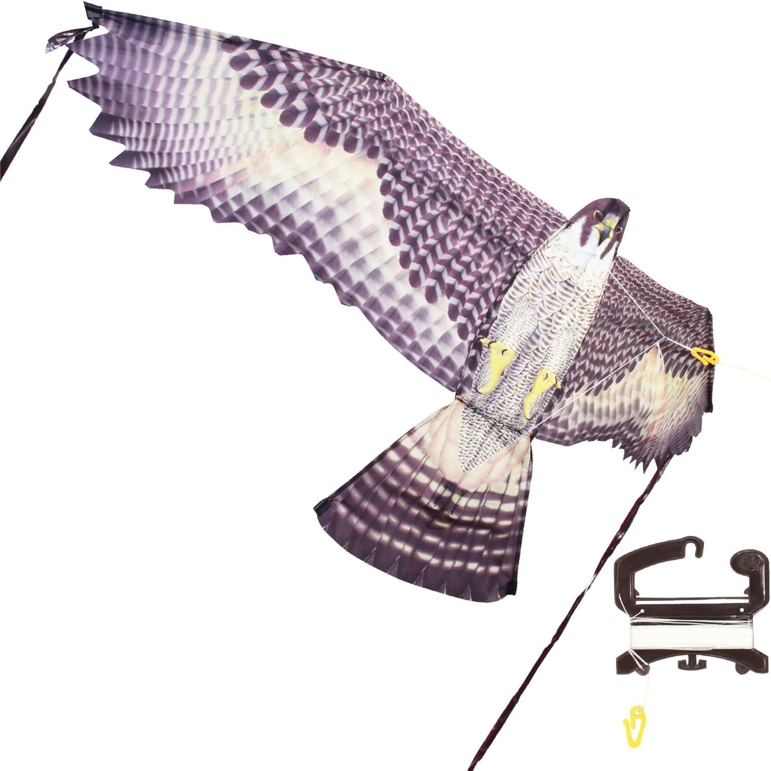 Brain Storm X Kites Birds of Prey Kite 48 Falcon