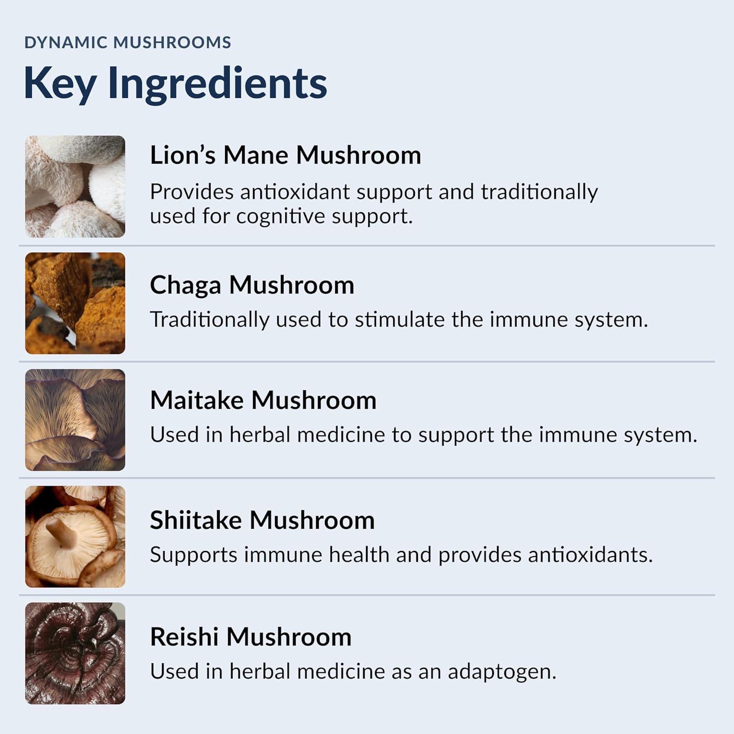 Stonehenge Health Dynamic Mushrooms - 100% Fruiting Bodies & Extracts - Lion’s Mane, Chaga, Maitake, Shiitake, Reishi - Nootropic Brain & Focus, Immune System Booster No Mycelium, 60 Veggie Capsules
