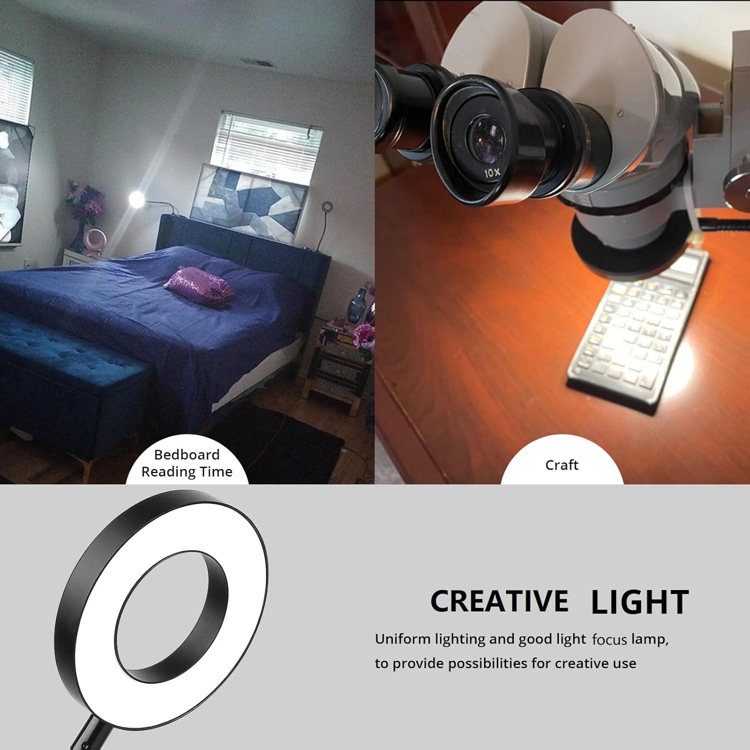 Desk Clip on Lamp for Reading Home Office, 10 Dimmable Brightness 3 Modes, Clamp Light for Bed Headboard