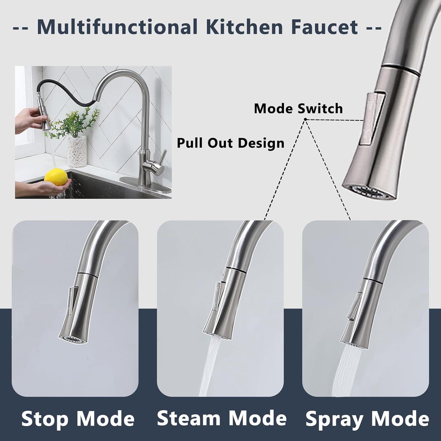 Single Handle High Arc Brushed Nickel Pull Out Kitchen Faucet, Pull Down Sprayer