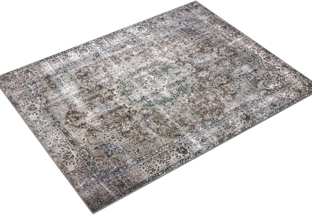 Loloi II Layla Printed Oriental Distressed Taupe / Stone Area Rug