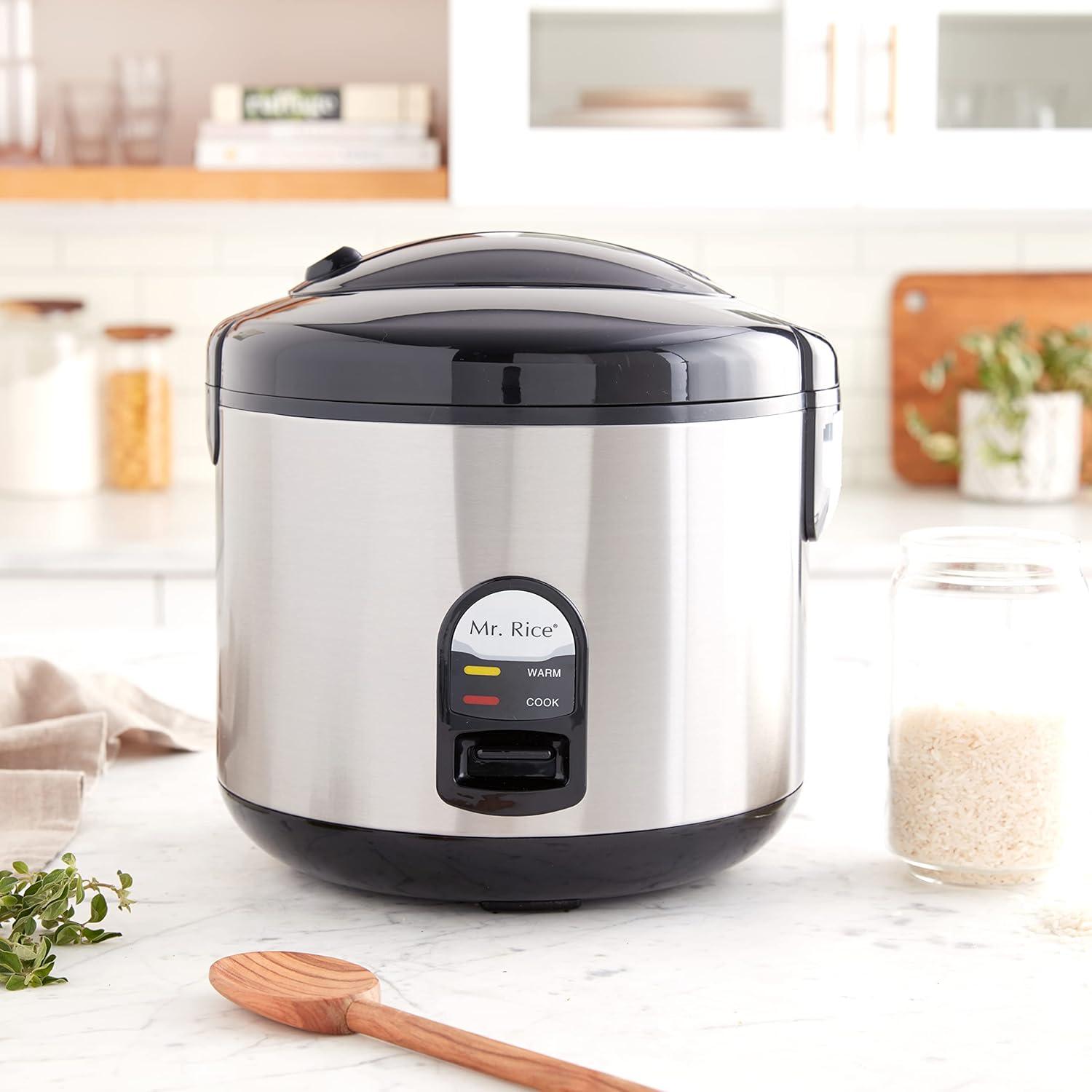 Mr. Rice 10-Cup Stainless Steel Electric Rice Cooker with Steamer