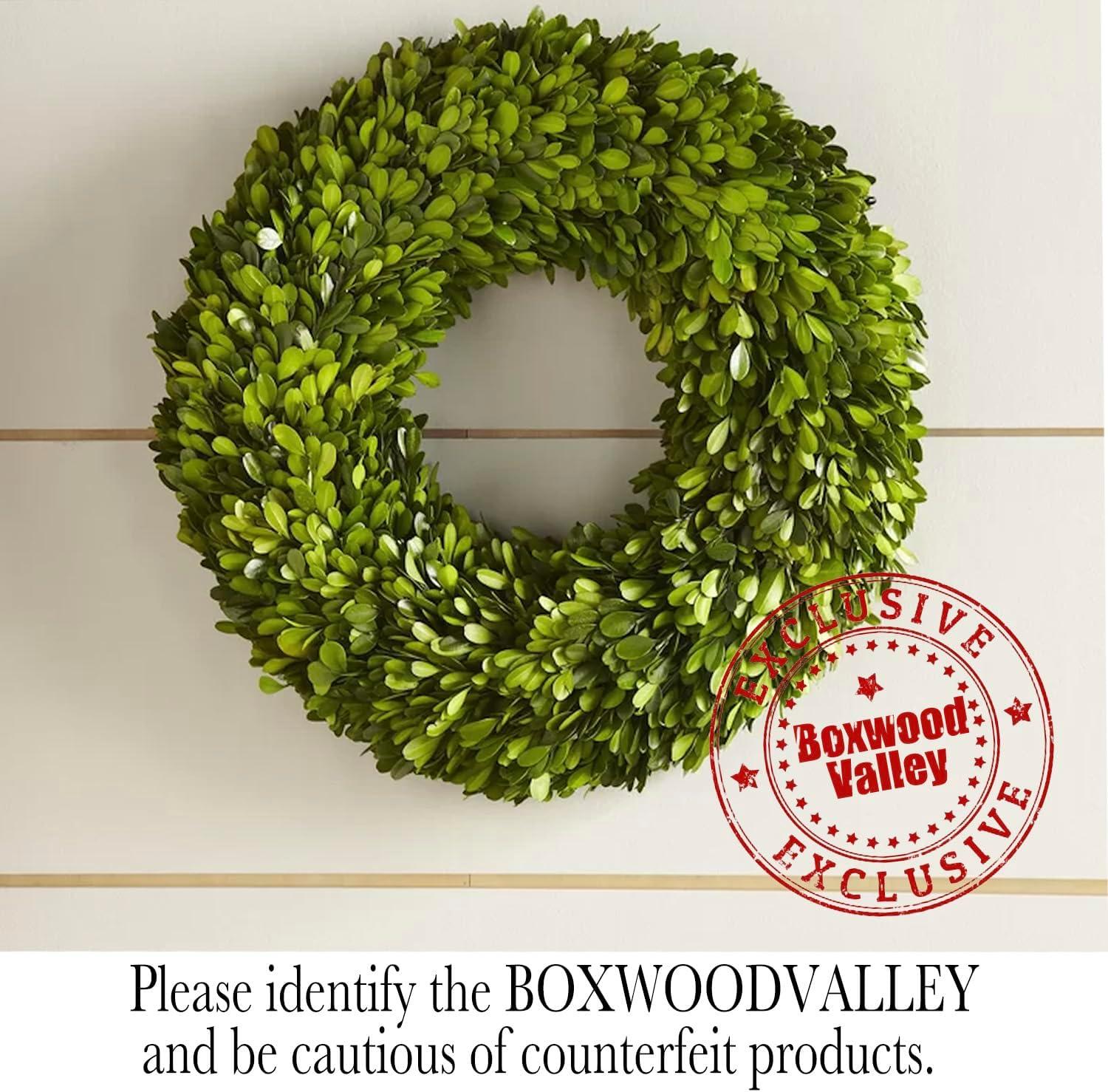 Alby Preserved Boxwood Real Greenery Wreath