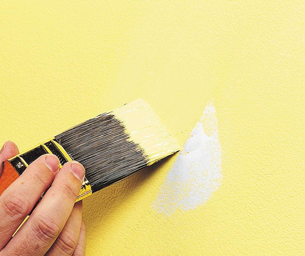 Dap Wall Repair Kit: Wall Putty & Spackle Kit for Patching & Repair, Plaster Wall Filler, 2.5 lb