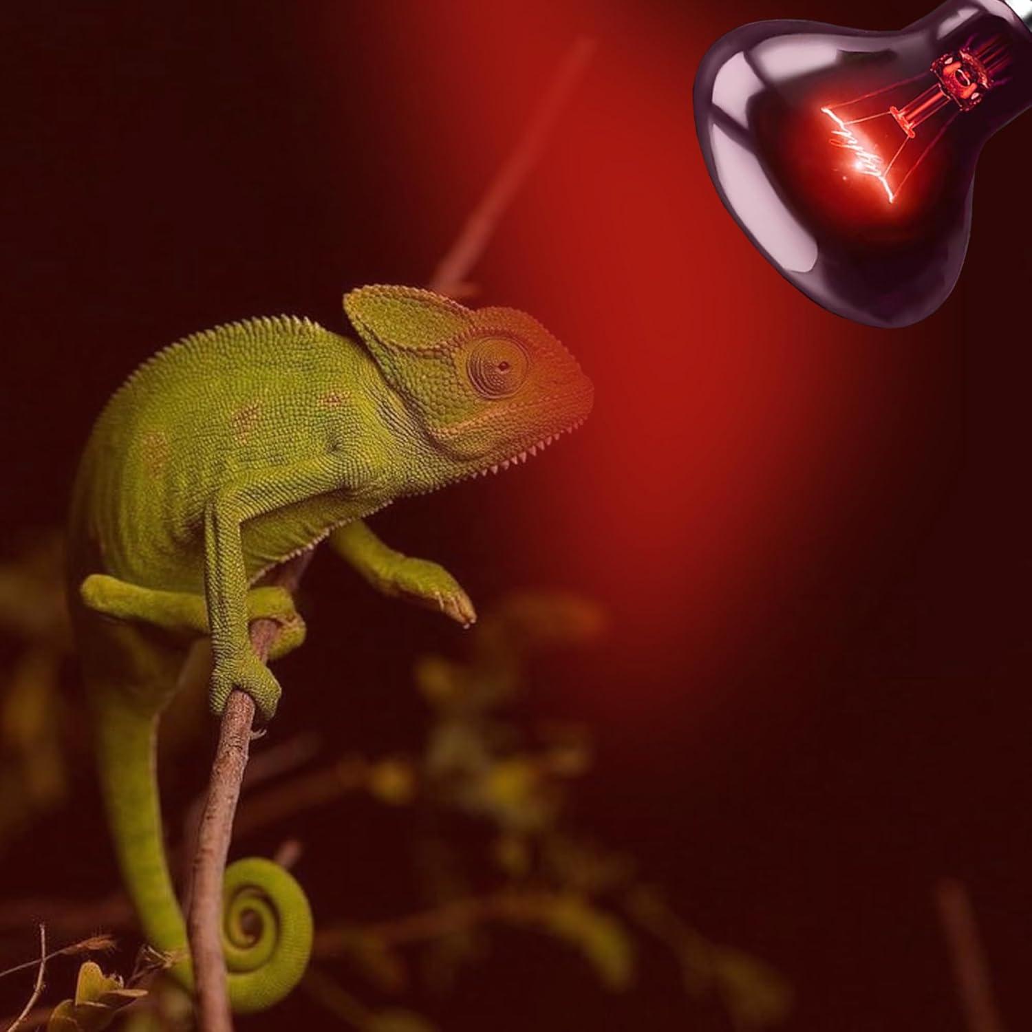 HARTOMPET 75W Infrared Basking Spot Light – Ideal for Reptiles & Amphibians, Red Heat Lamp - 2PCS
