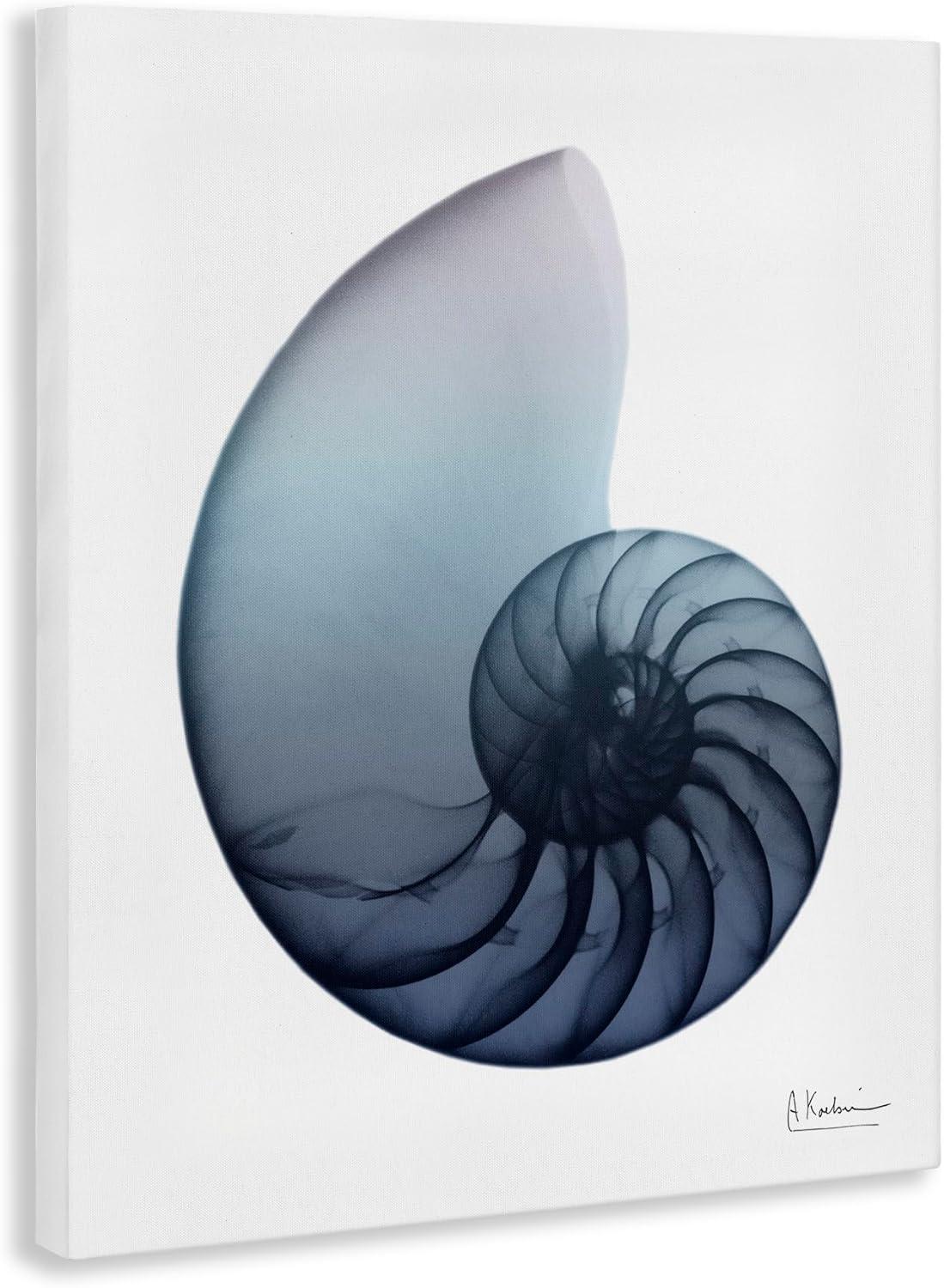 Stupell Industries Contemporary Nautilus Shell, 16" x 20"