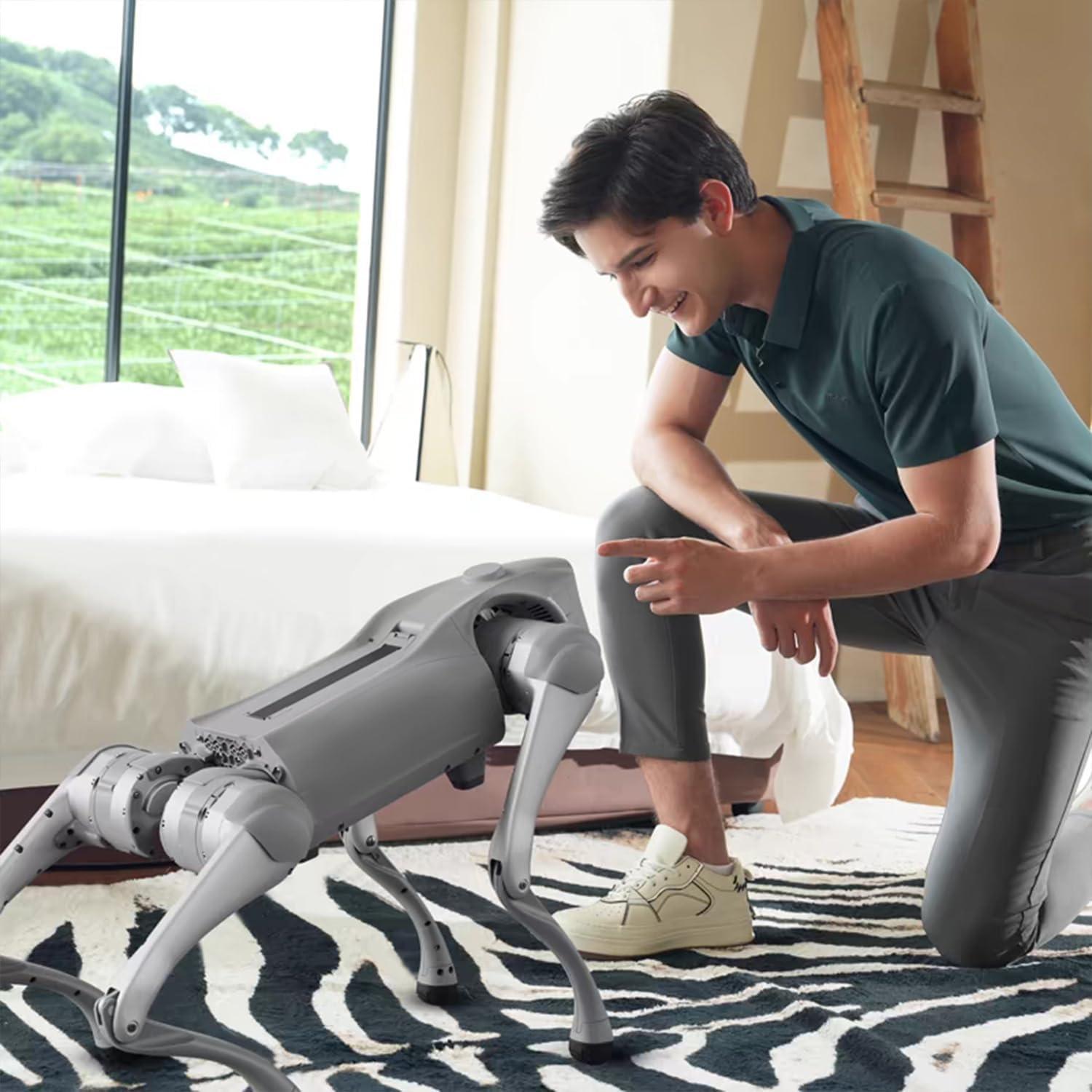 Unitree Go2 Robot Dog Quadruped Robotics for Adults Embodied AI (Go2 Air)