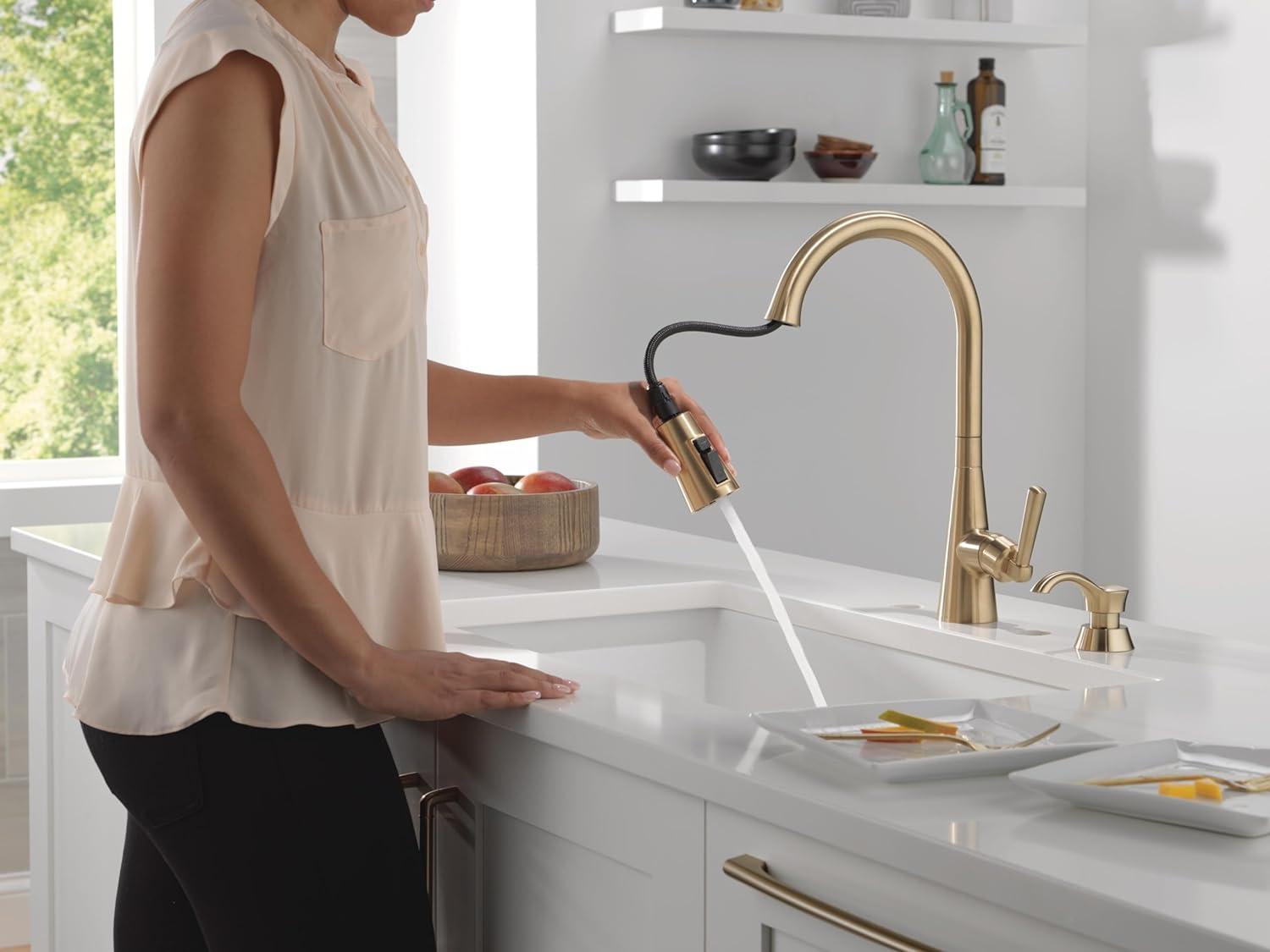 Boyd Pull Down Sprayer Kitchen Sink Faucet with Matching Soap Dispenser