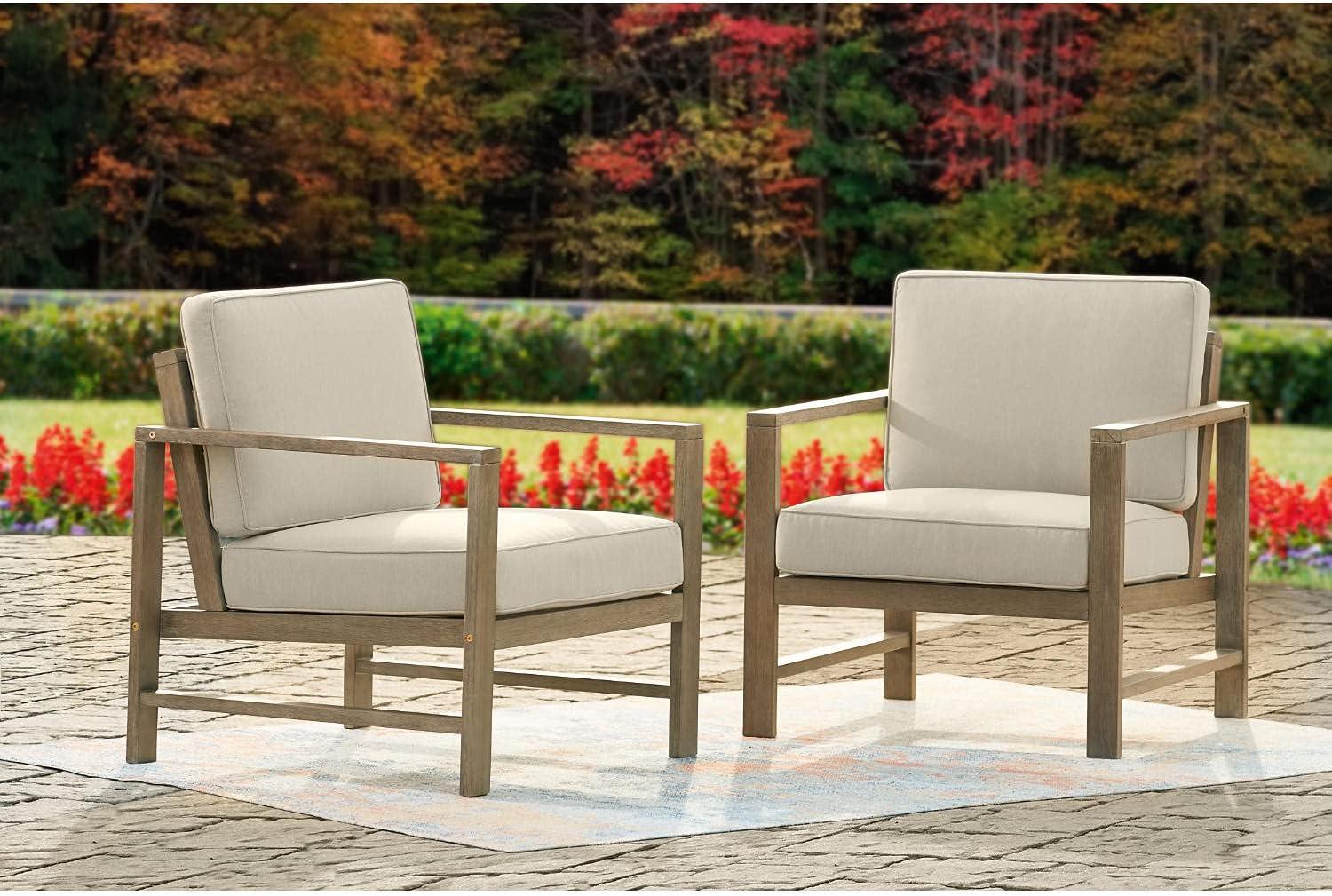 Fynnegan Lounge Chair with Cushion (Set of 2)