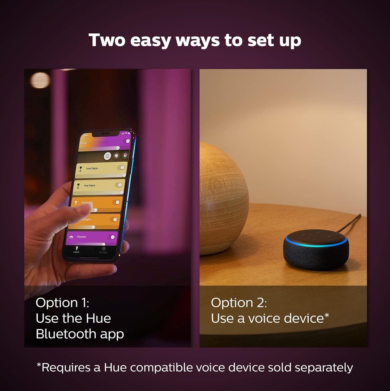 Philips Hue Iris White and Color Ambiance Table Lamp