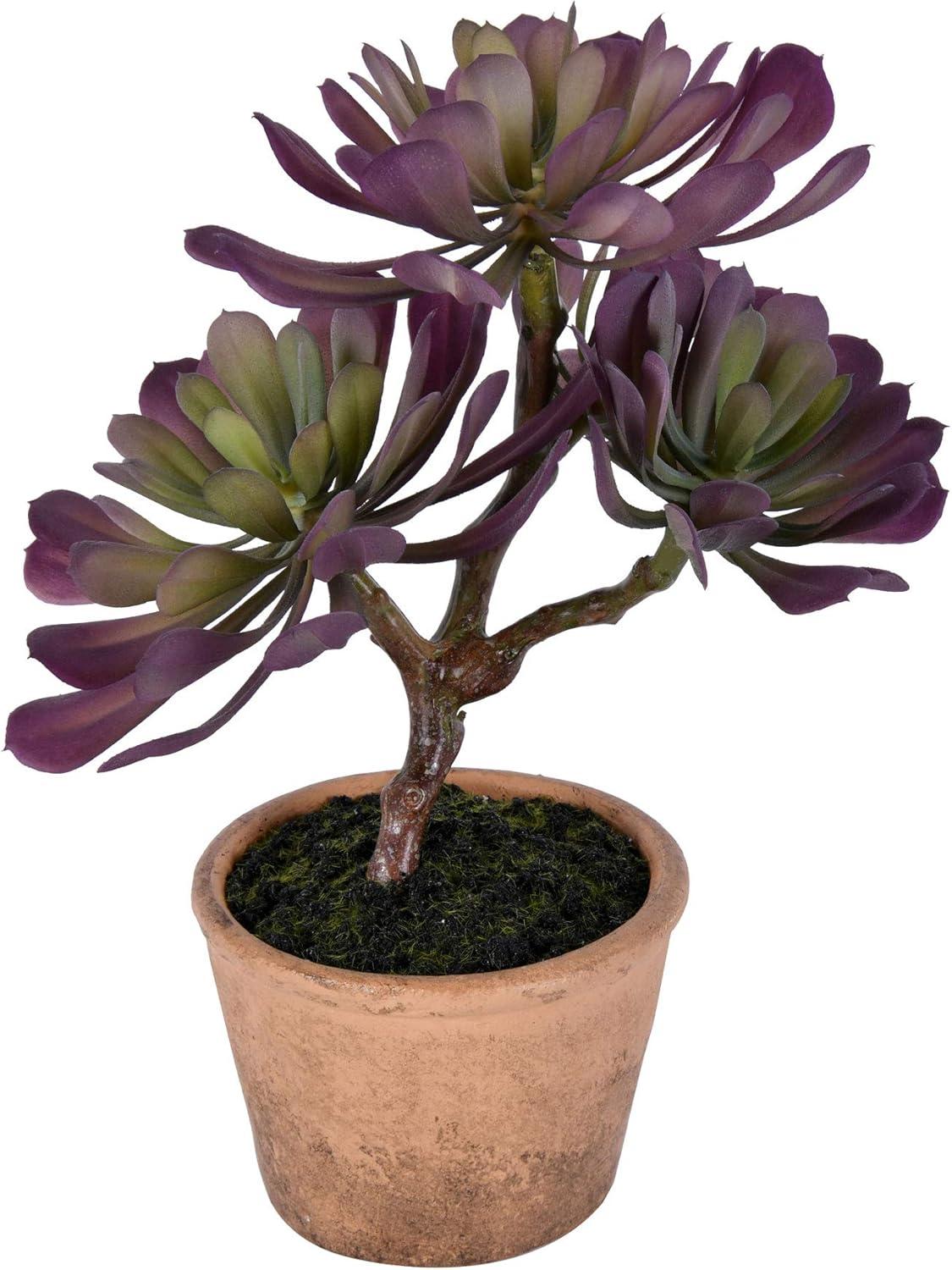 Union Rustic 12'' Faux Succulent in Wicker/Rattan Pot