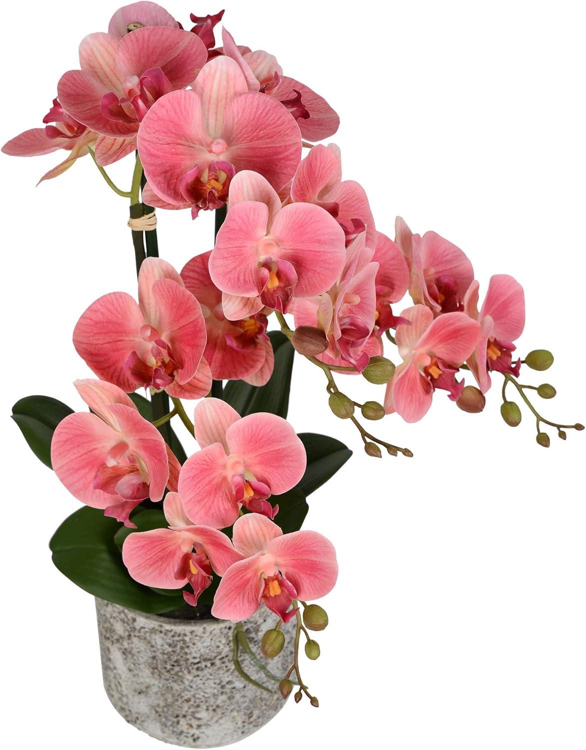 Vickerman 24" Artificial Pink Phalaenopsis In Cement Pot.