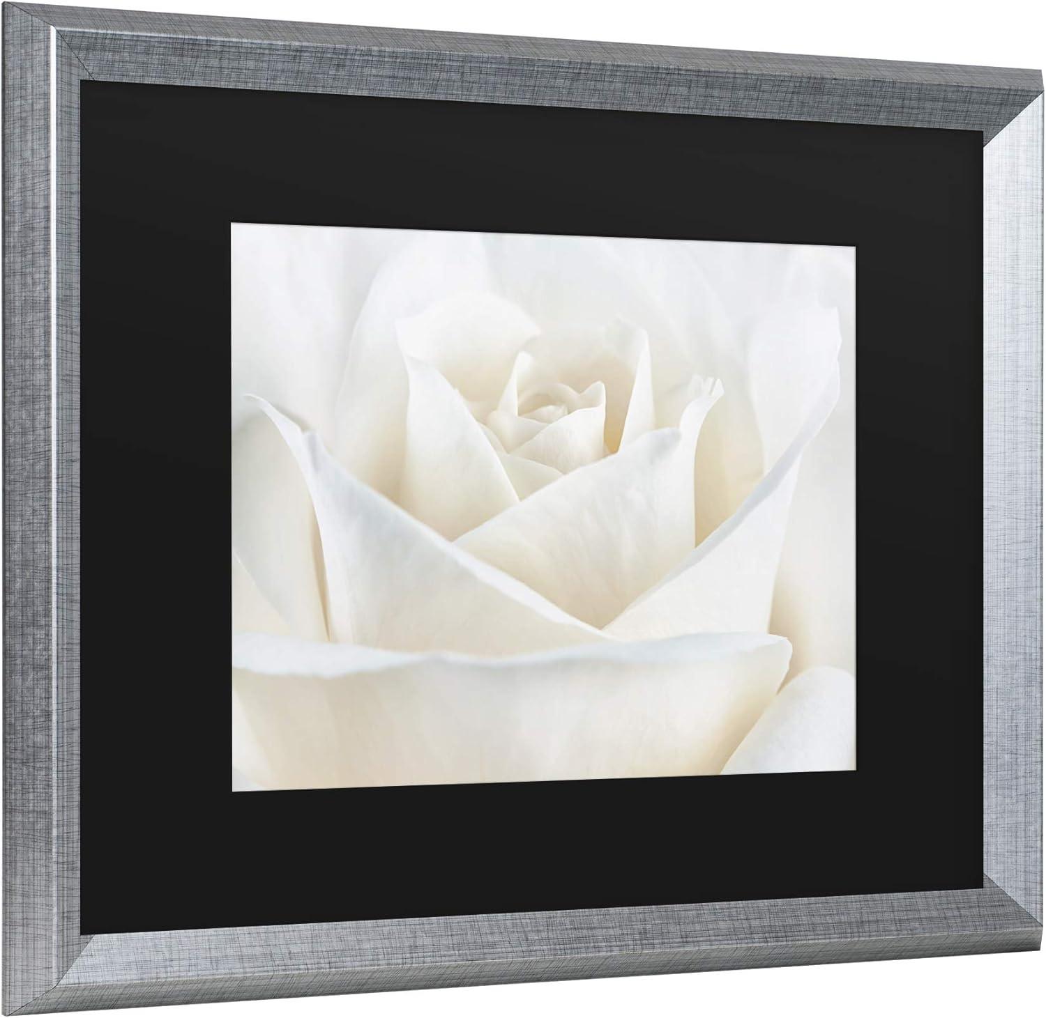 Pure White Rose Framed Photographic Print