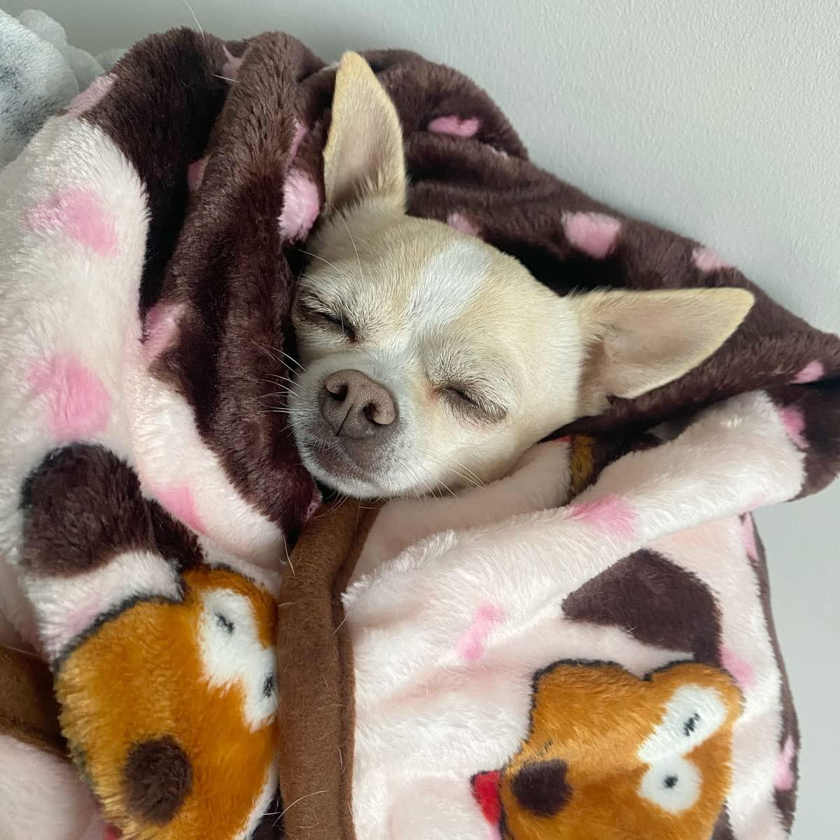 Snuggle Puppy Blanket for Pets - Extra Soft and Long Lasting - Pink Pattern