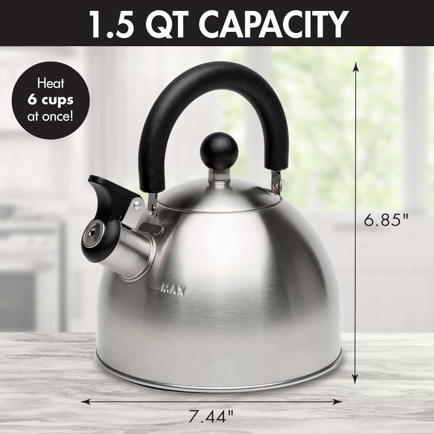 Brushed Stainless Steel Whistling Tea Kettle with Black Handle