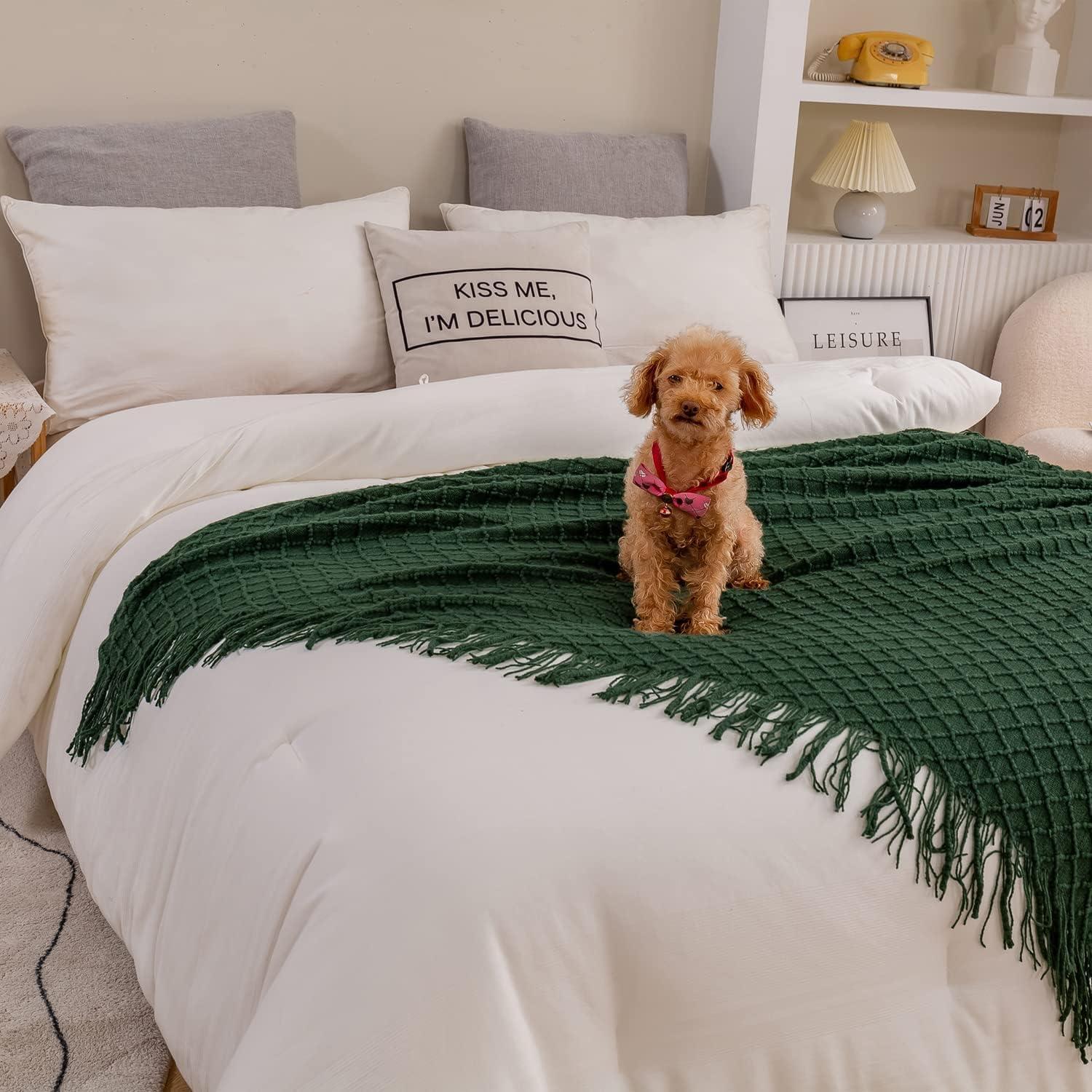 Lunarose Throw Blanket for Couch,Soft Cozy Knit Blanket,Lightweight Decorative Throw for Sofa Chair Bed Travel and Living Room-All Seasons Suitable for Women,Men and Kids (White-Wave, 50"x60")