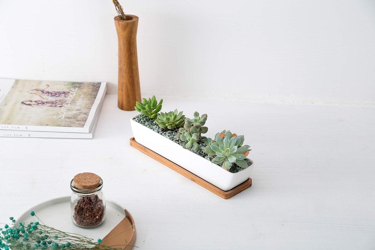 White Ceramic Rectangular Succulent Planter with Bamboo Saucer