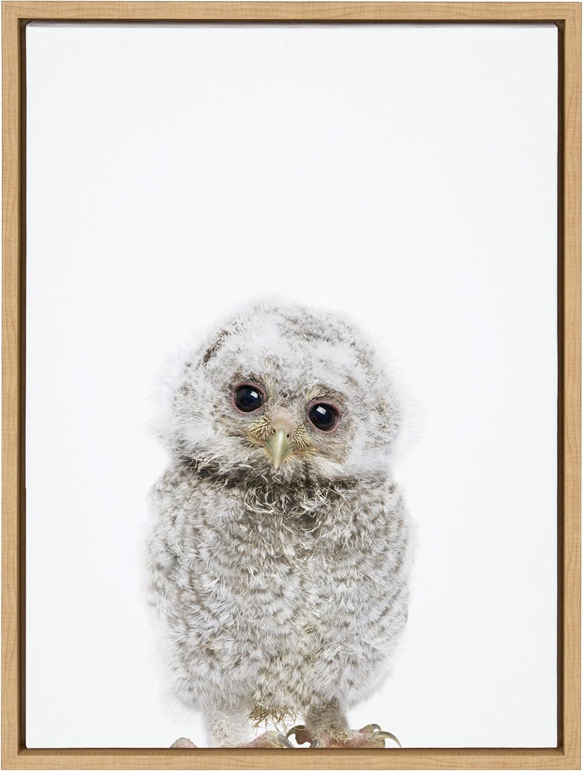 18" x 24" Sylvie Animal Studio Owl Framed Canvas by Amy Peterson Art Studio - Kate & Laurel All Things Decor