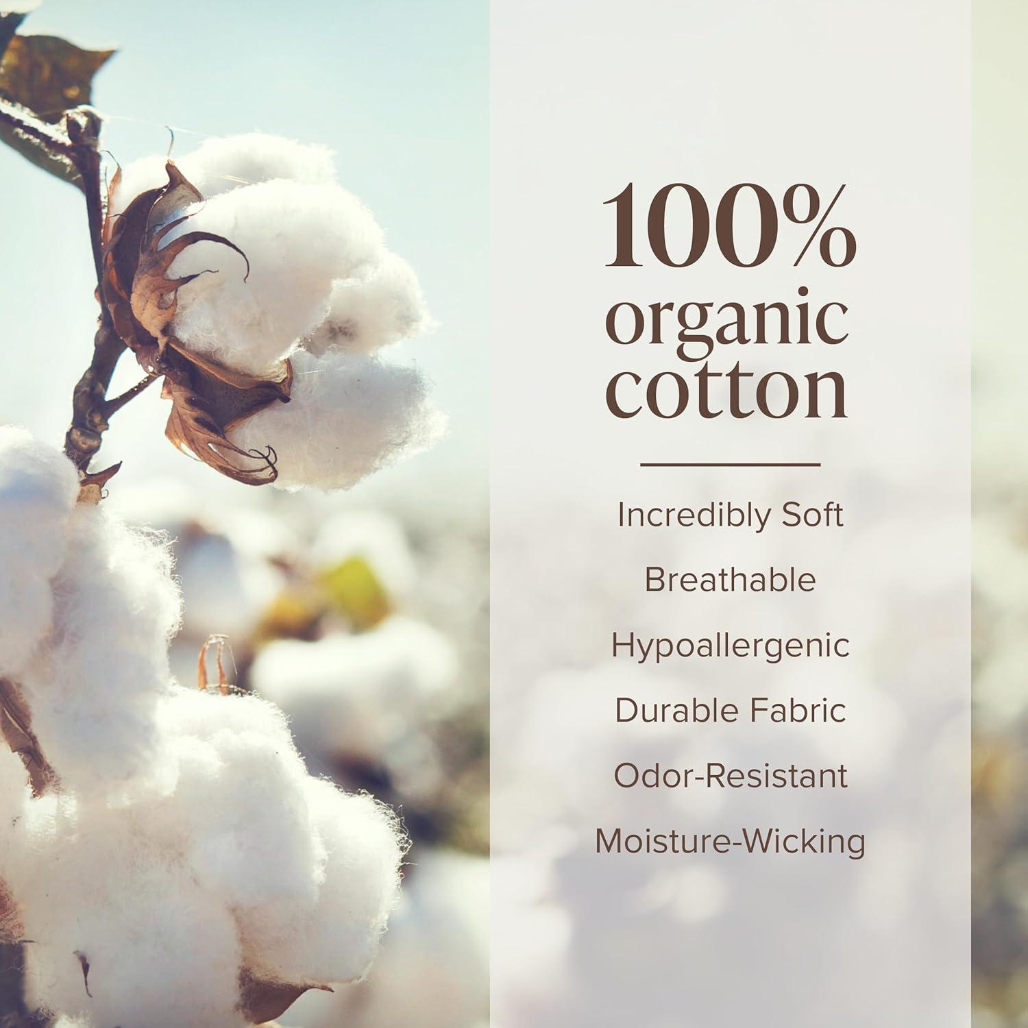 Bare Home Organic 100% Cotton Flannel Sheet Set & Reviews | Wayfair