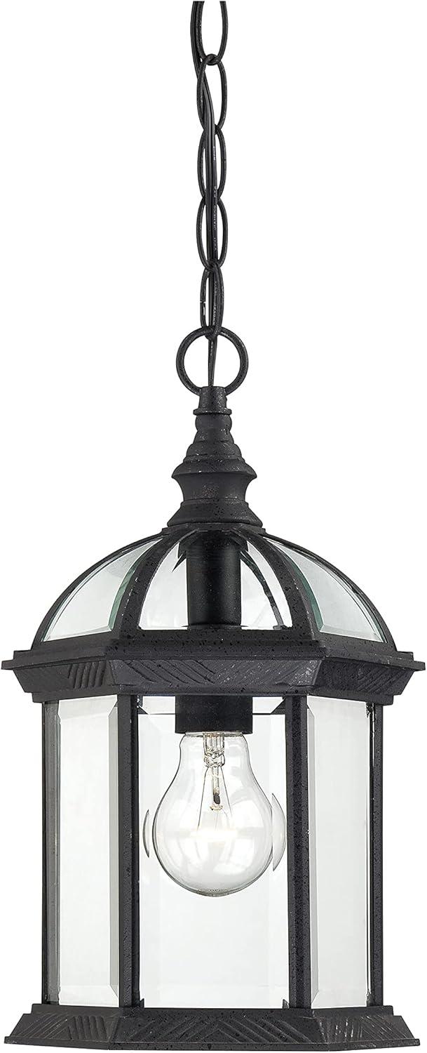 Boxwood Black 14" Outdoor Hanging Lantern with Clear Glass