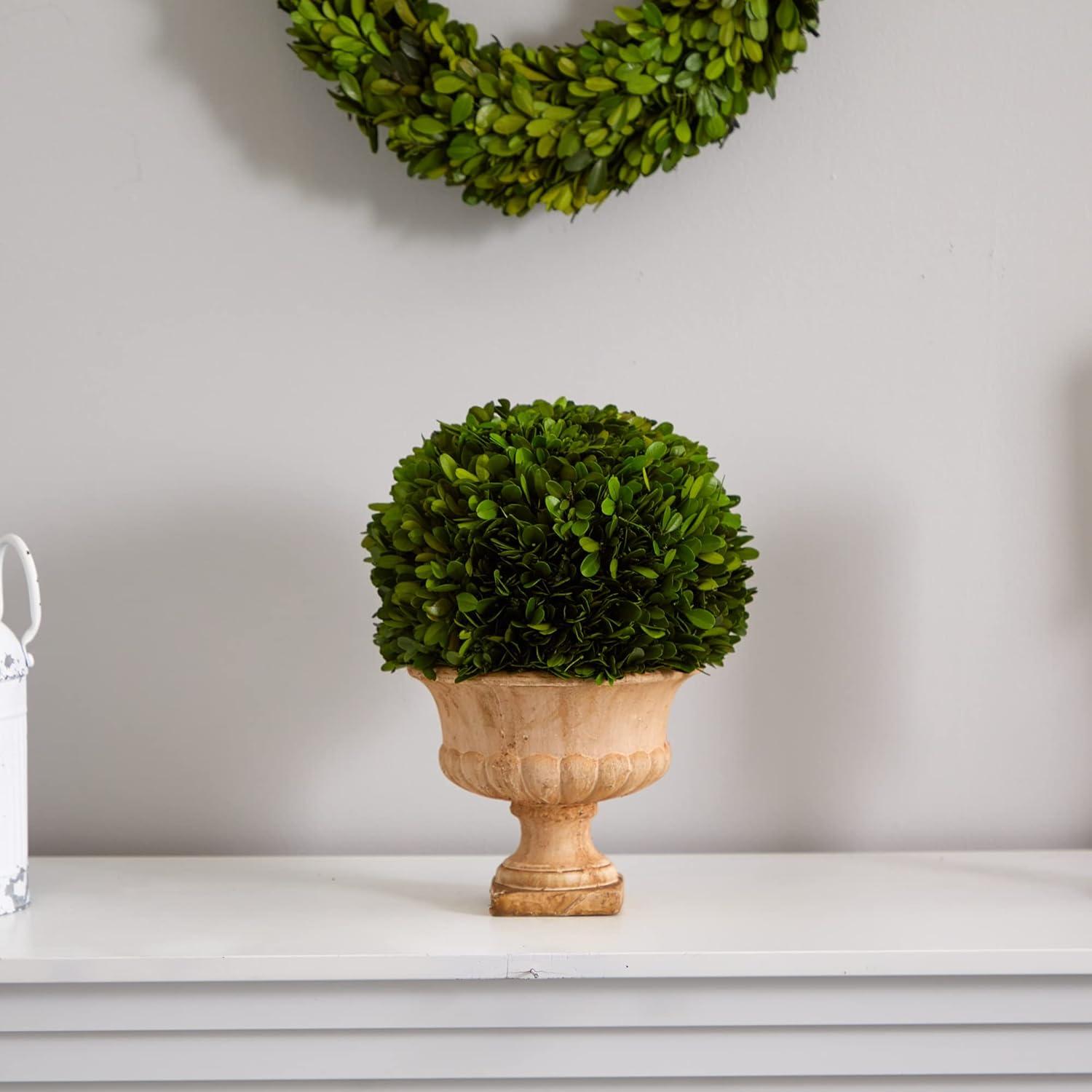 Nearly Natural 12” Boxwood Topiary Ball Preserved Plant in Decorative Urn