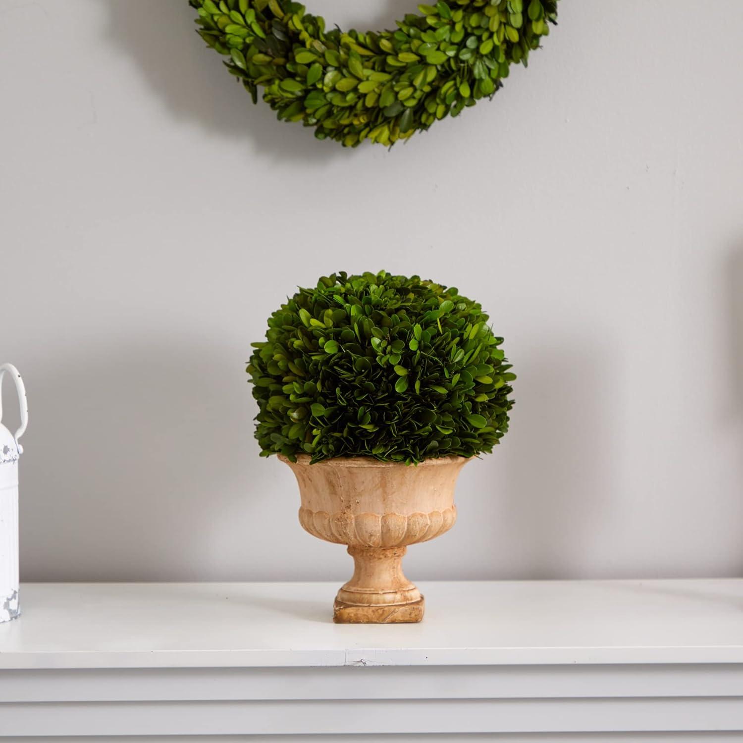 Nearly Natural 12-in Boxwood Topiary Ball Preserved Plant in Decorative Urn