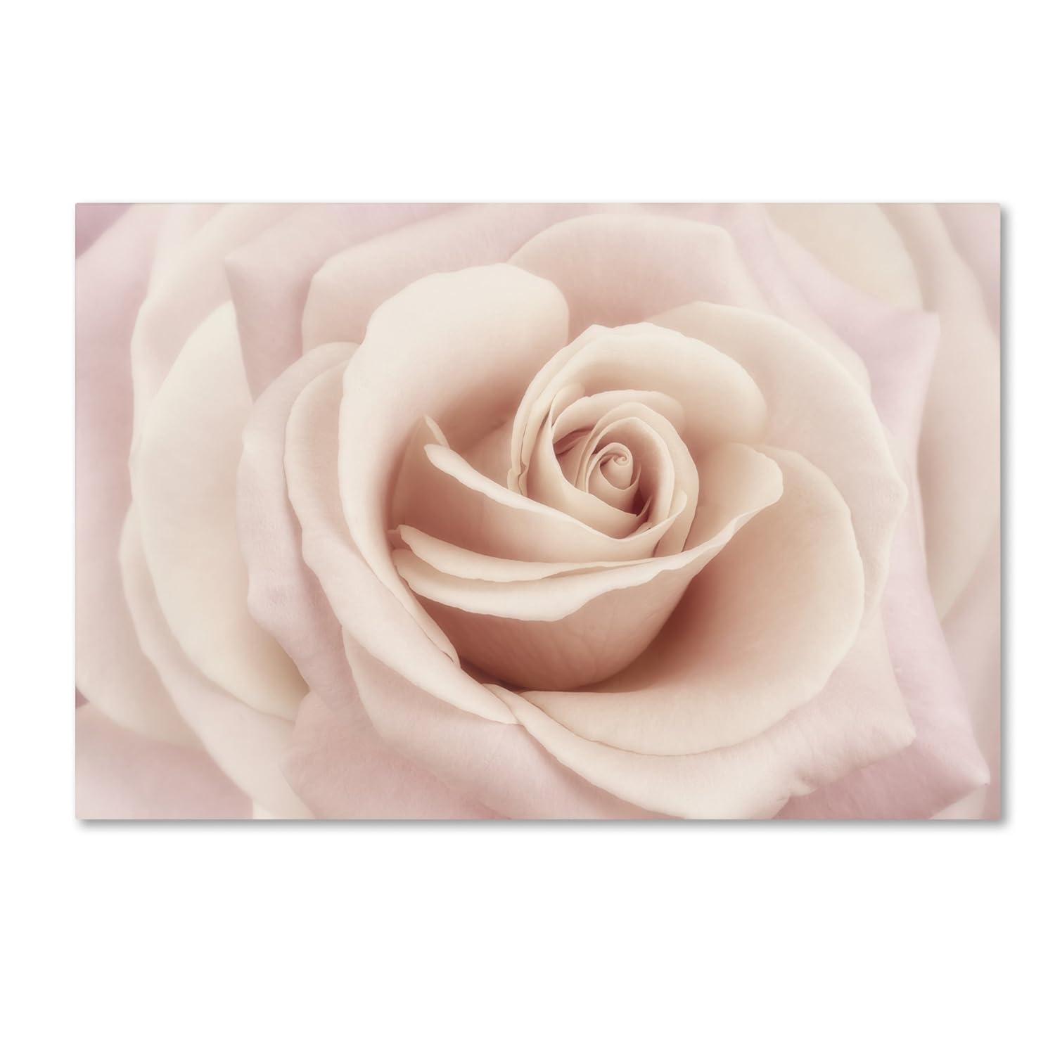 Trademark Fine Art 'Peach Pink Rose' Canvas Art by Cora Niele