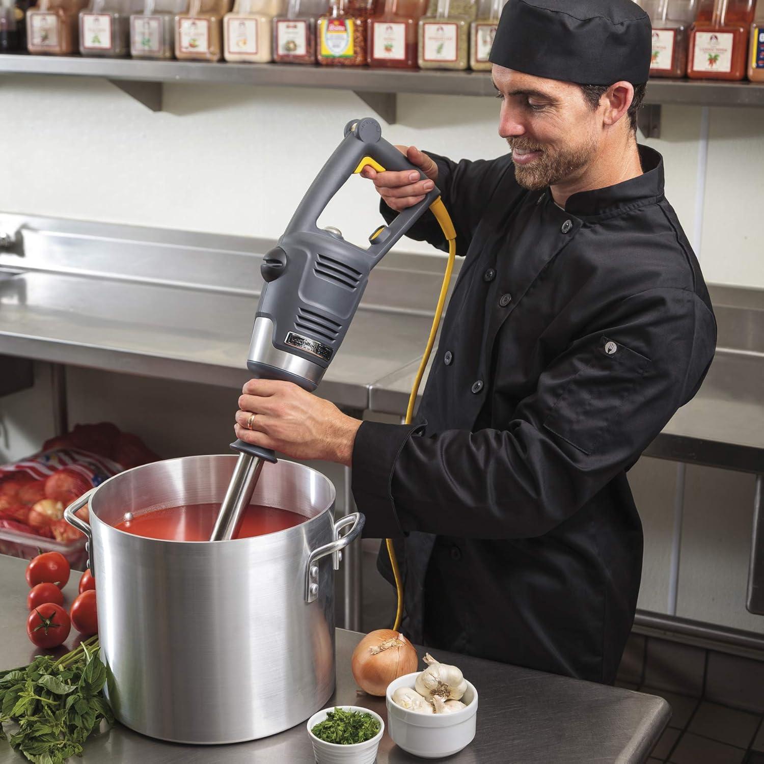Hamilton Beach Commercial BigRig™ Immersion Blender - HMI018
