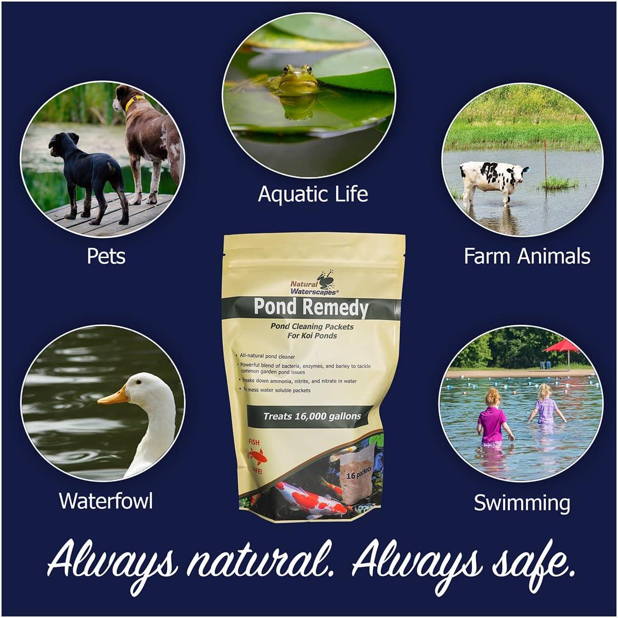 Natural Waterscapes Pond Remedy | Koi Pond Cleaning Packets | Treats up to 16,000 gallons