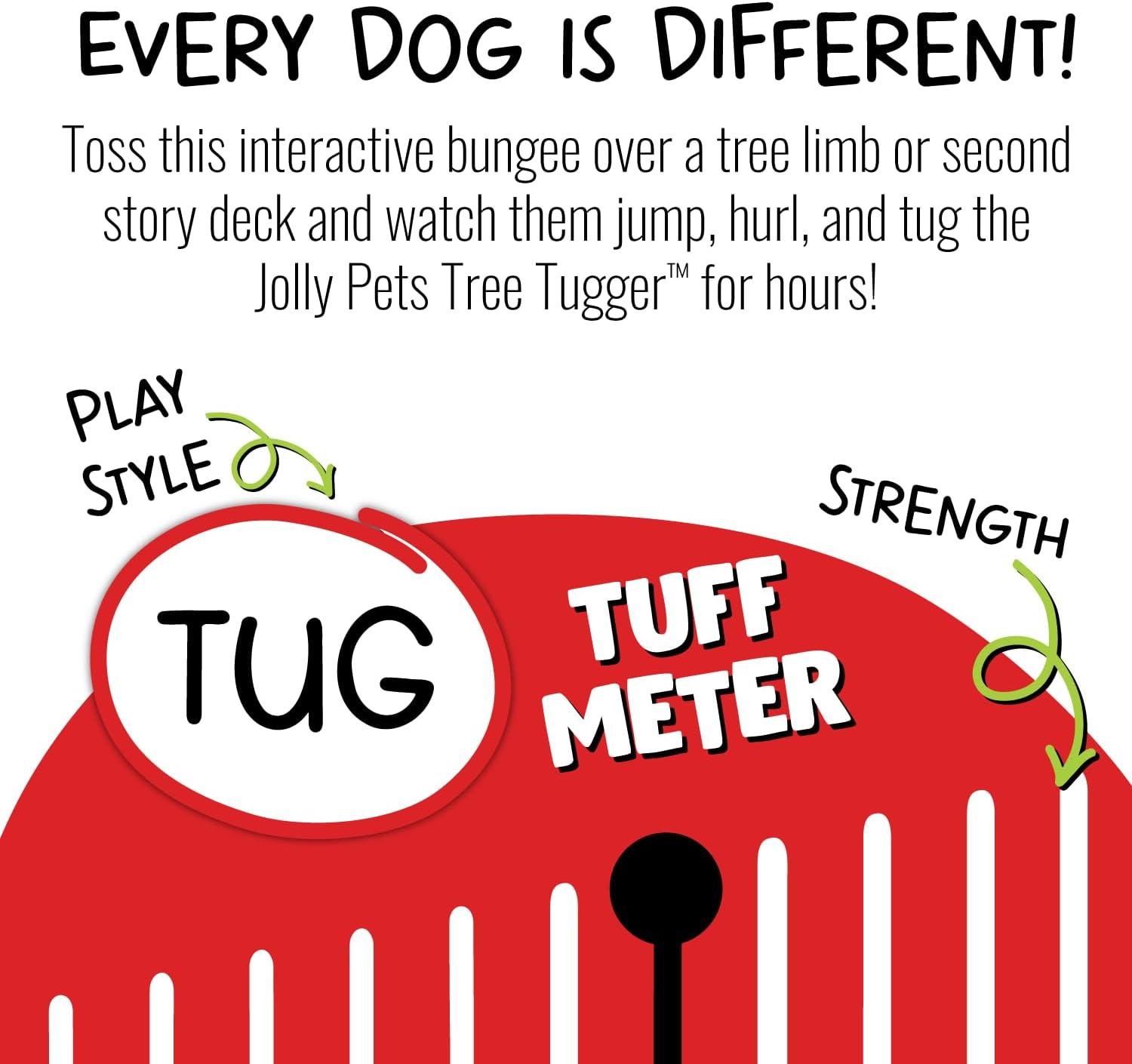 Jolly Pets Tree Tugger For Dog - Green