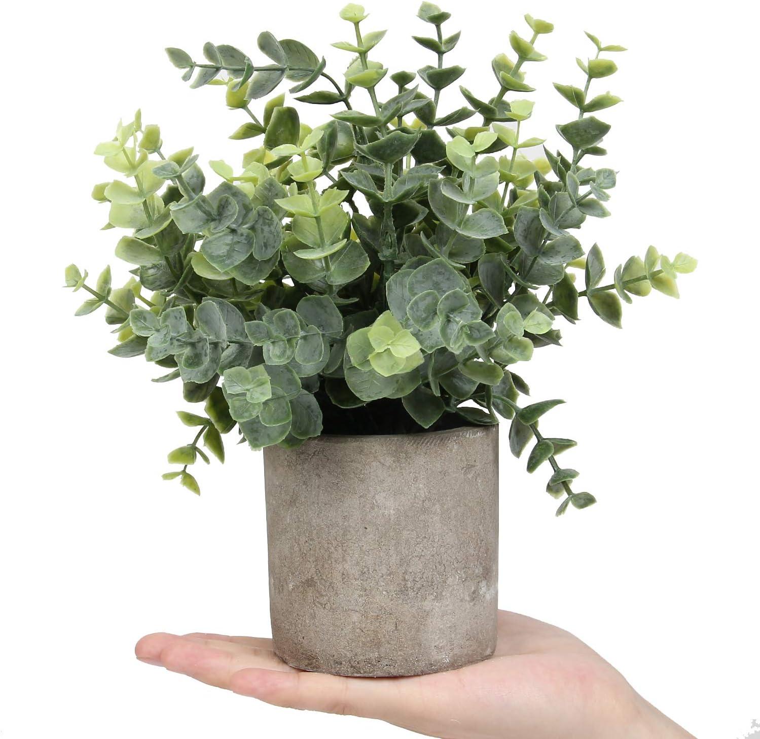 Mini Potted Artificial Eucalyptus and Boxwood Greenery Set